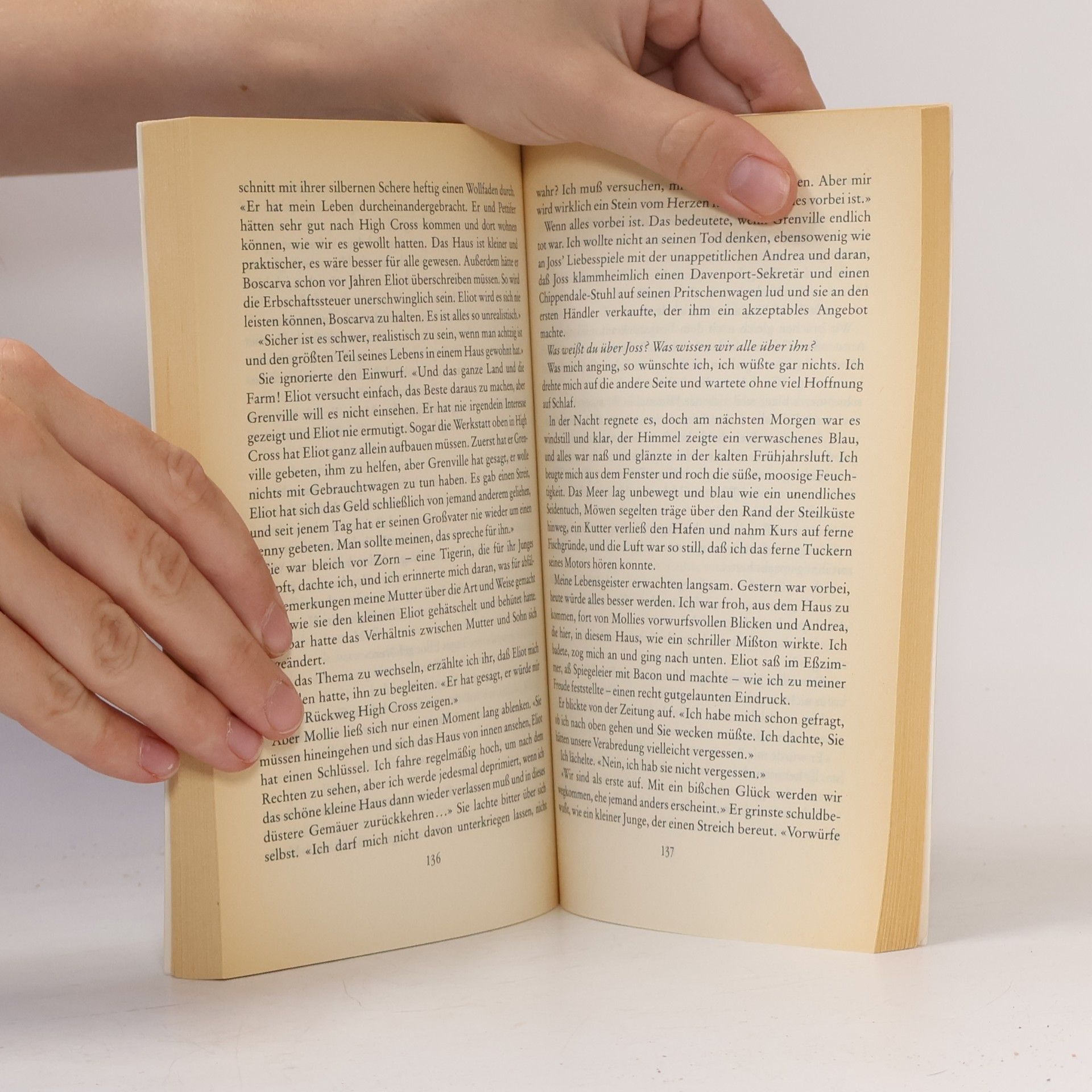 Rosamunde Pilcher Stürmische Begegnung