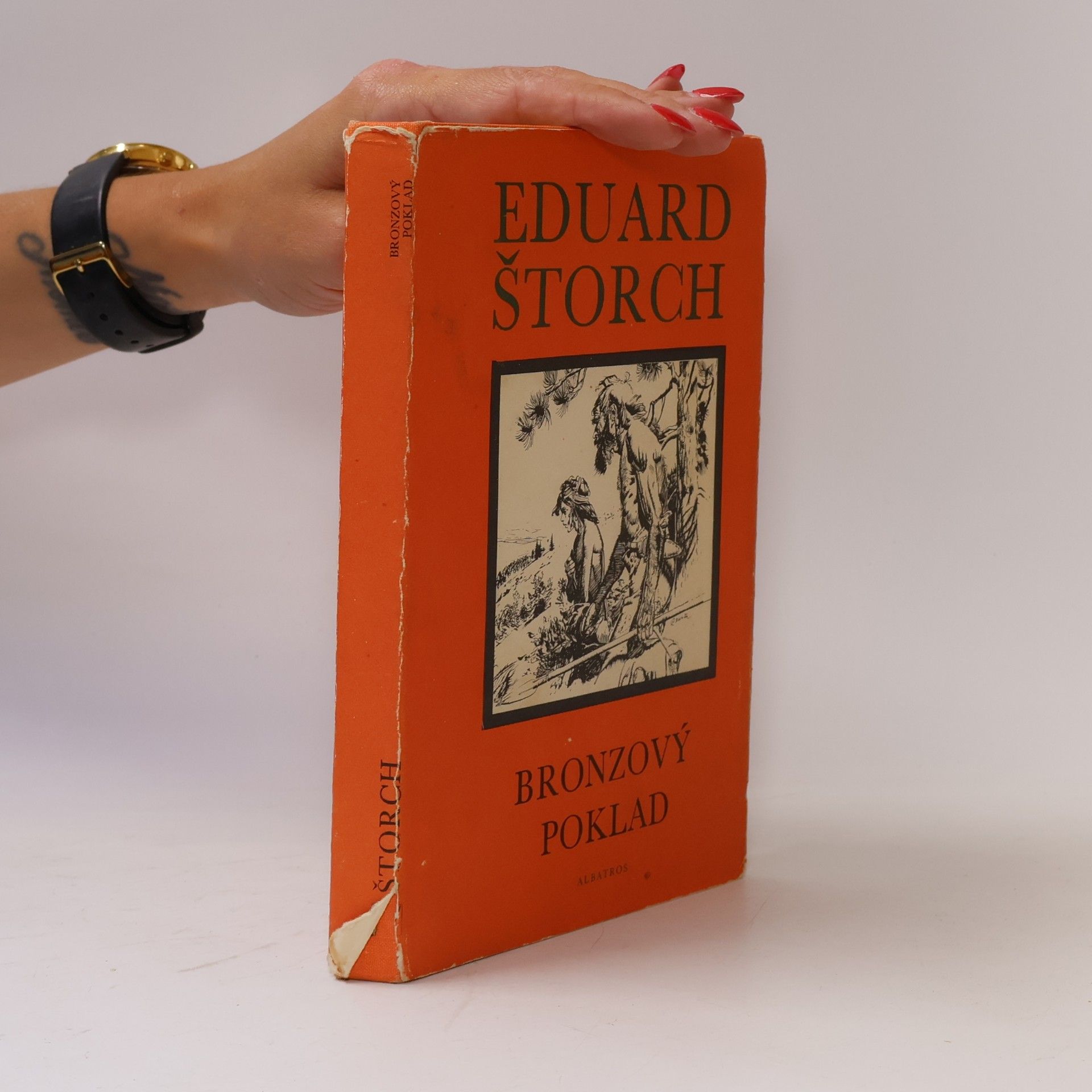 Eduard Štorch Bronzový poklad