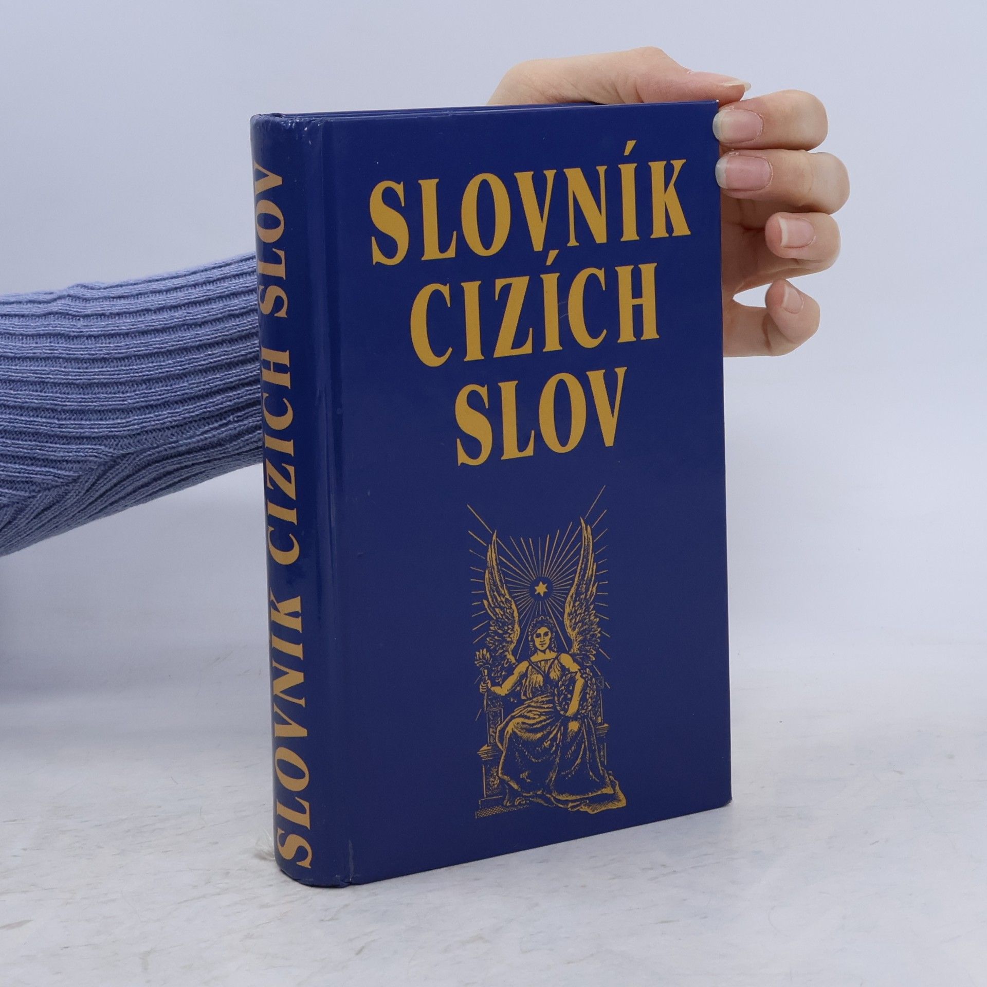 Kolektiv autorů Slovník cizích slov