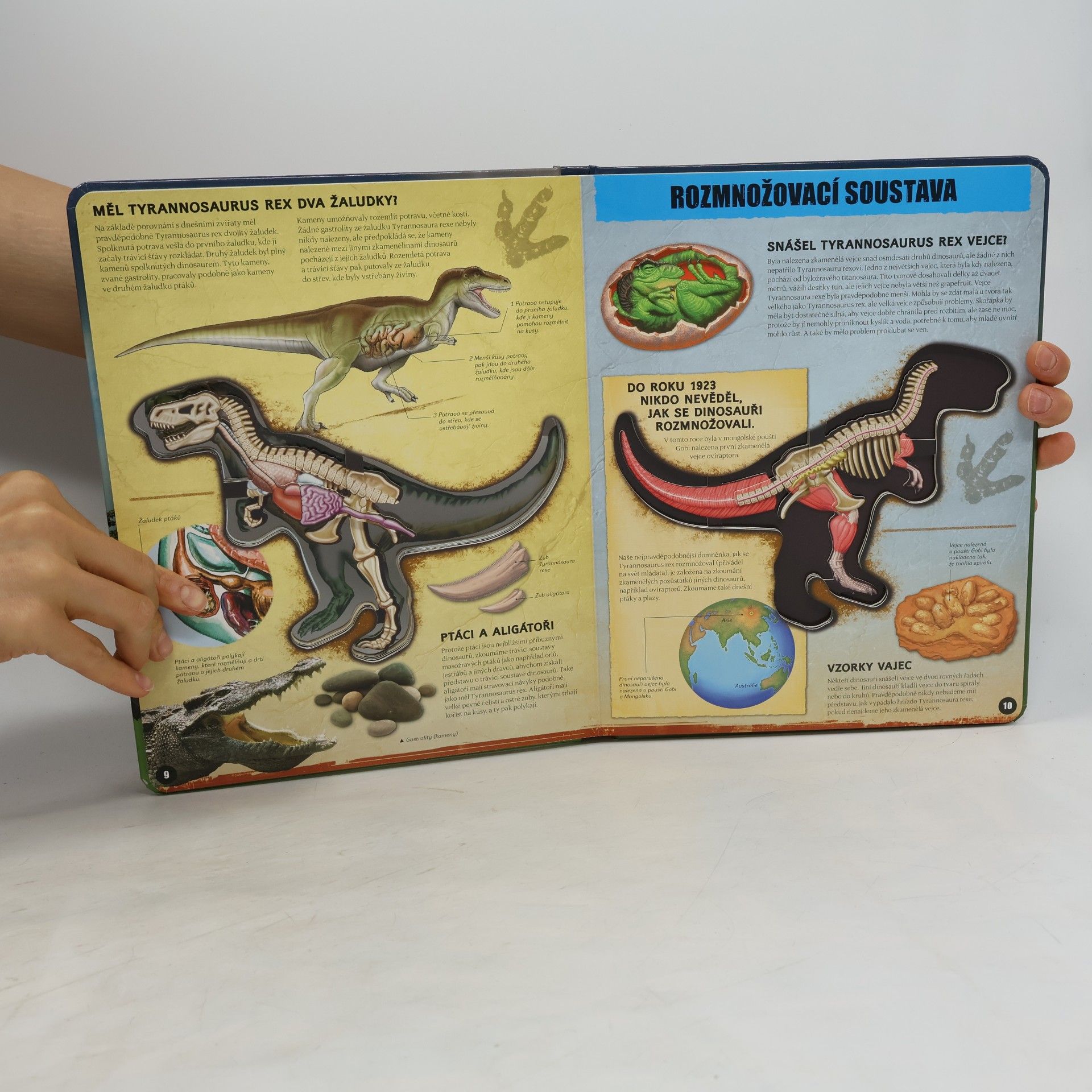 Dennis Schatz T-Rex zevnitř: Poznej nejslavnějšího dinosaura na světě!