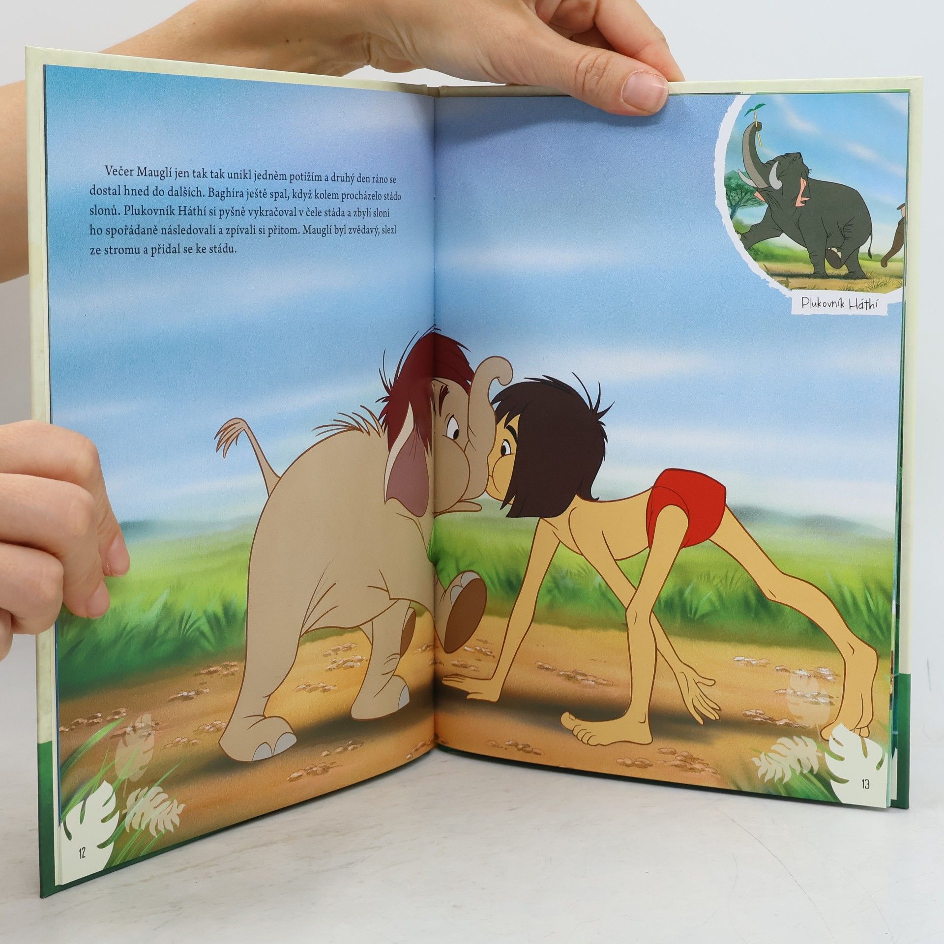 Walt Disney Kniha džunglí