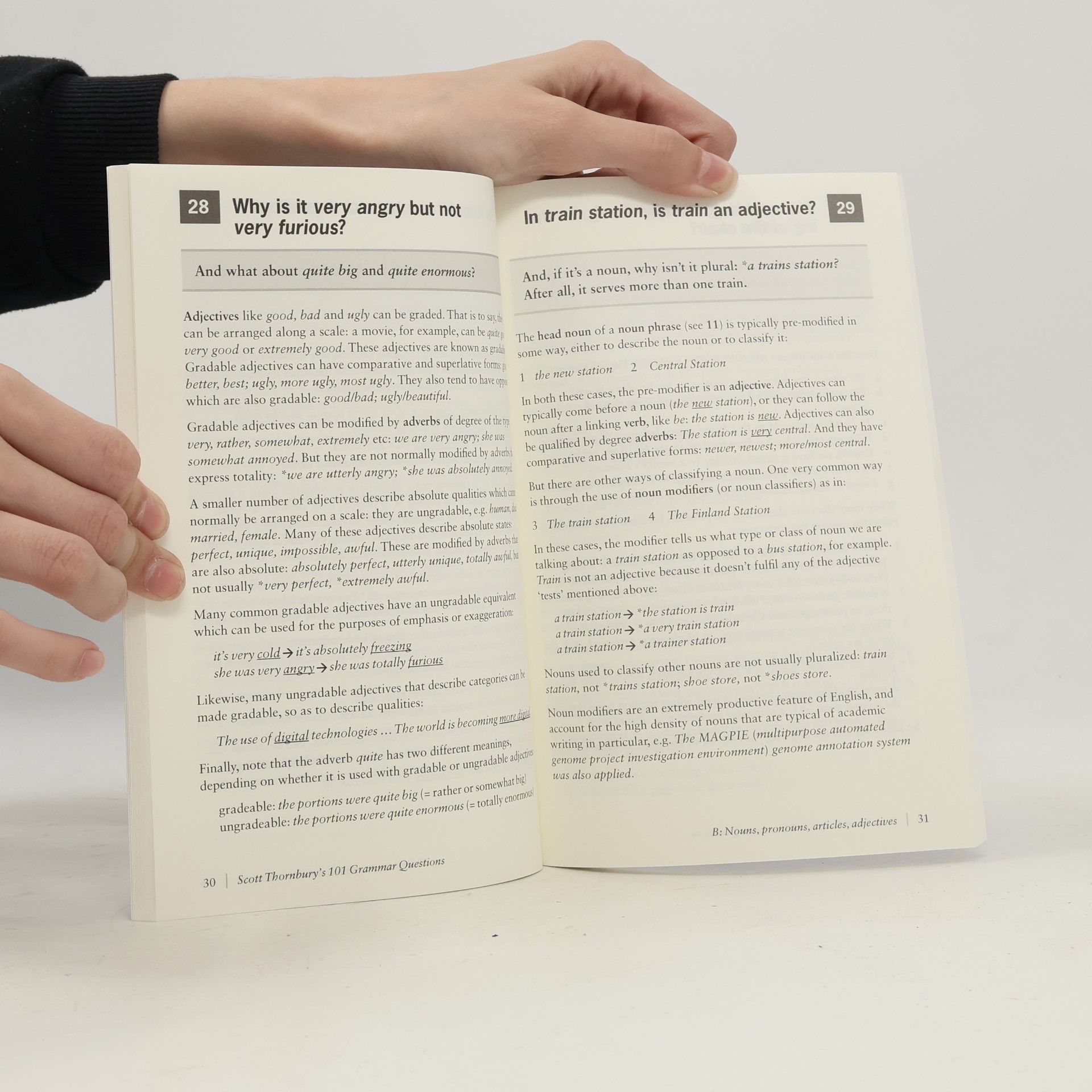Scott Thornbury Scott Thornbury's 101 grammar questions