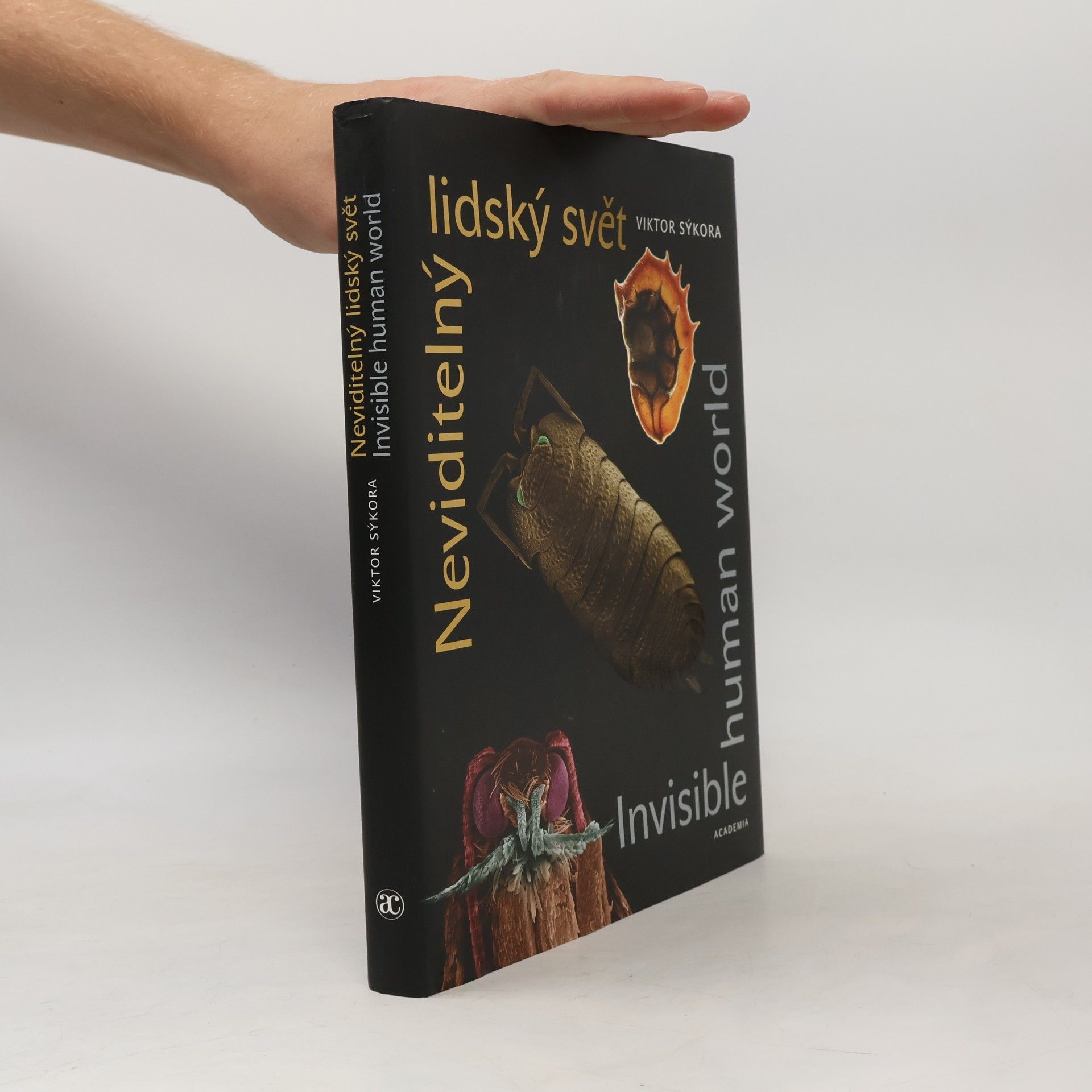 Viktor Sýkora Neviditelný lidský svět
