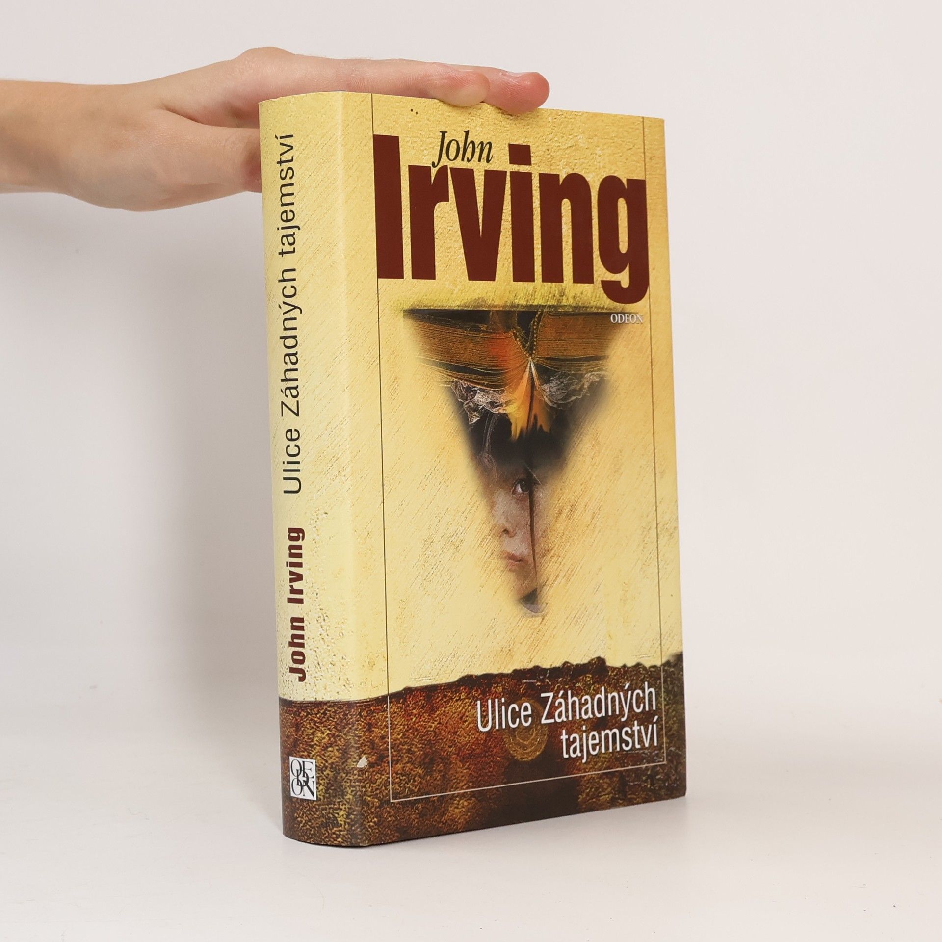 John Irving Ulice Záhadných tajemství