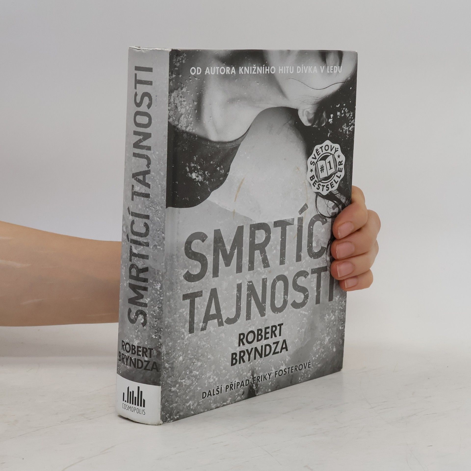 Robert Bryndza Smrtící tajnosti