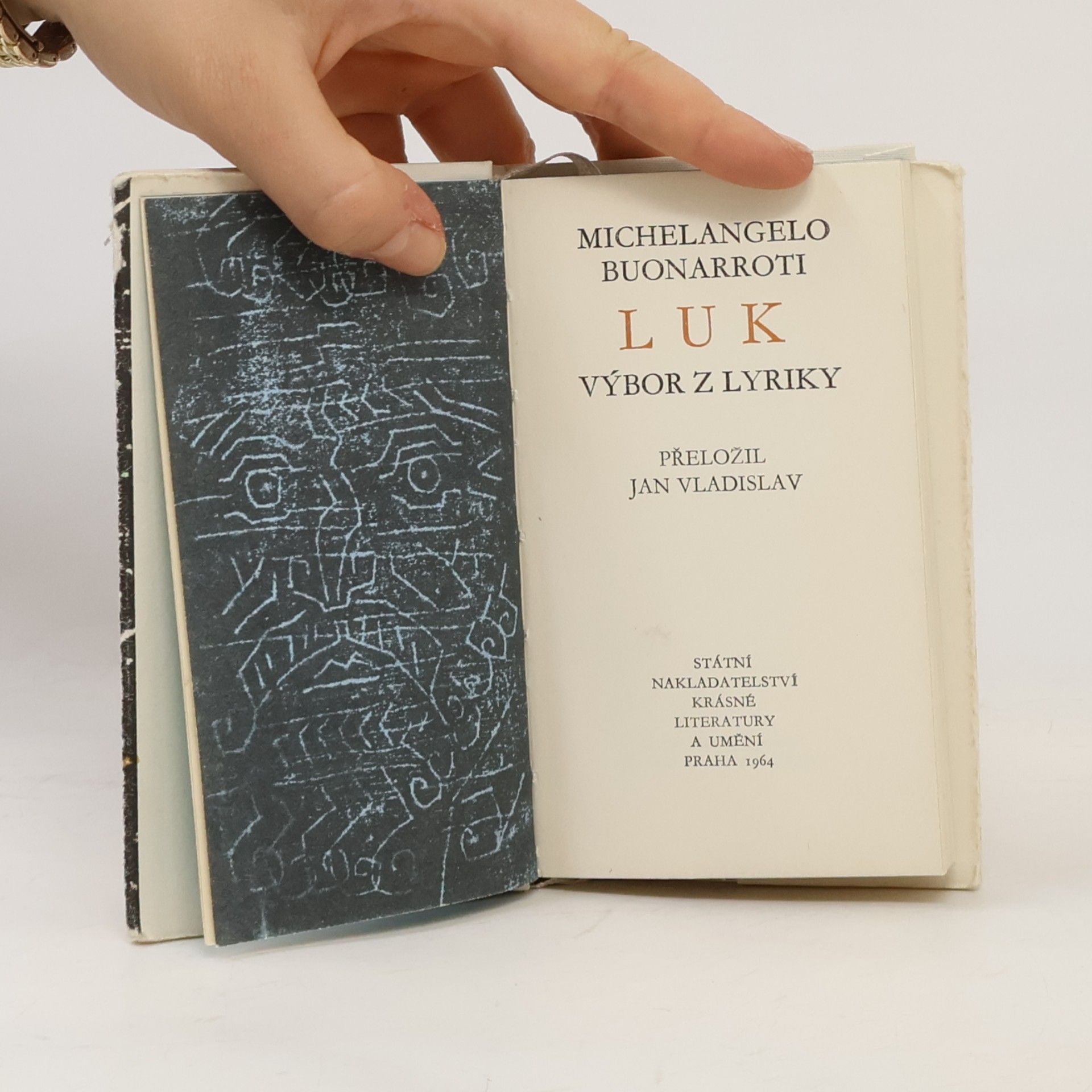 Michelangelo Buonarroti Luk. Výbor z lyriky