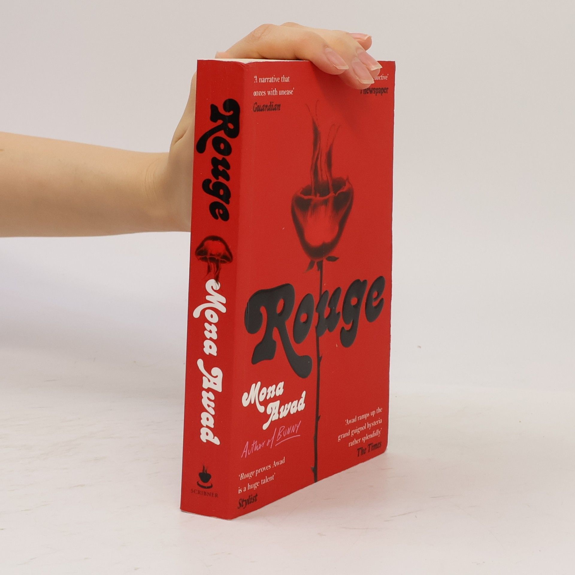 Mona Awad Rouge