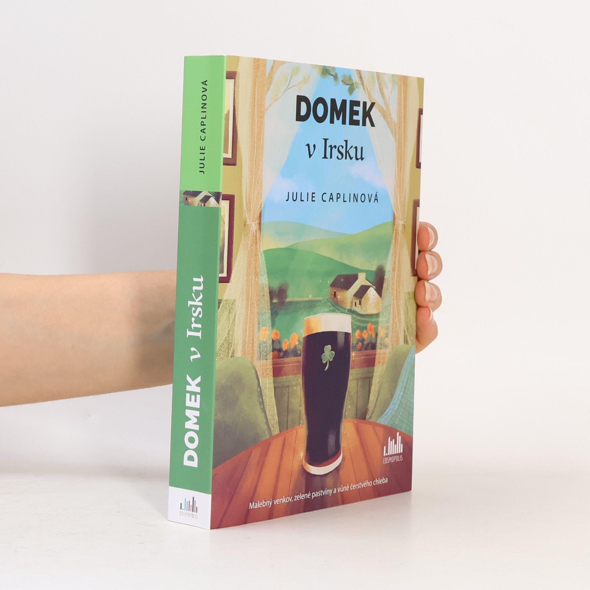 Julie Caplin Domek v Irsku