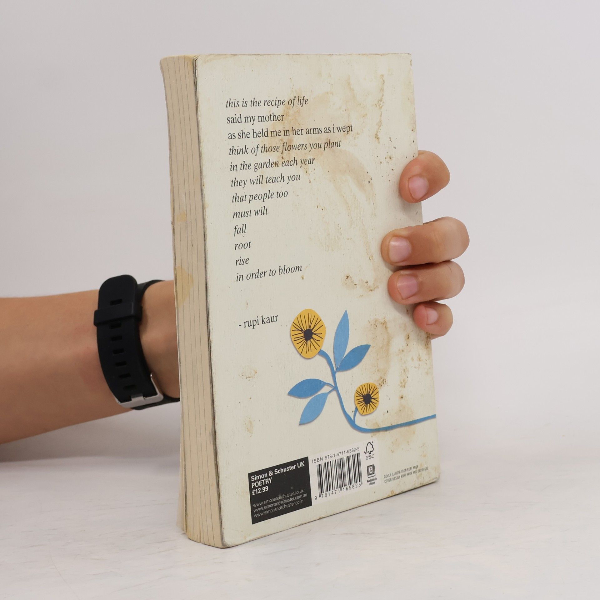 Rupi Kaur The Sun And Her Flowers