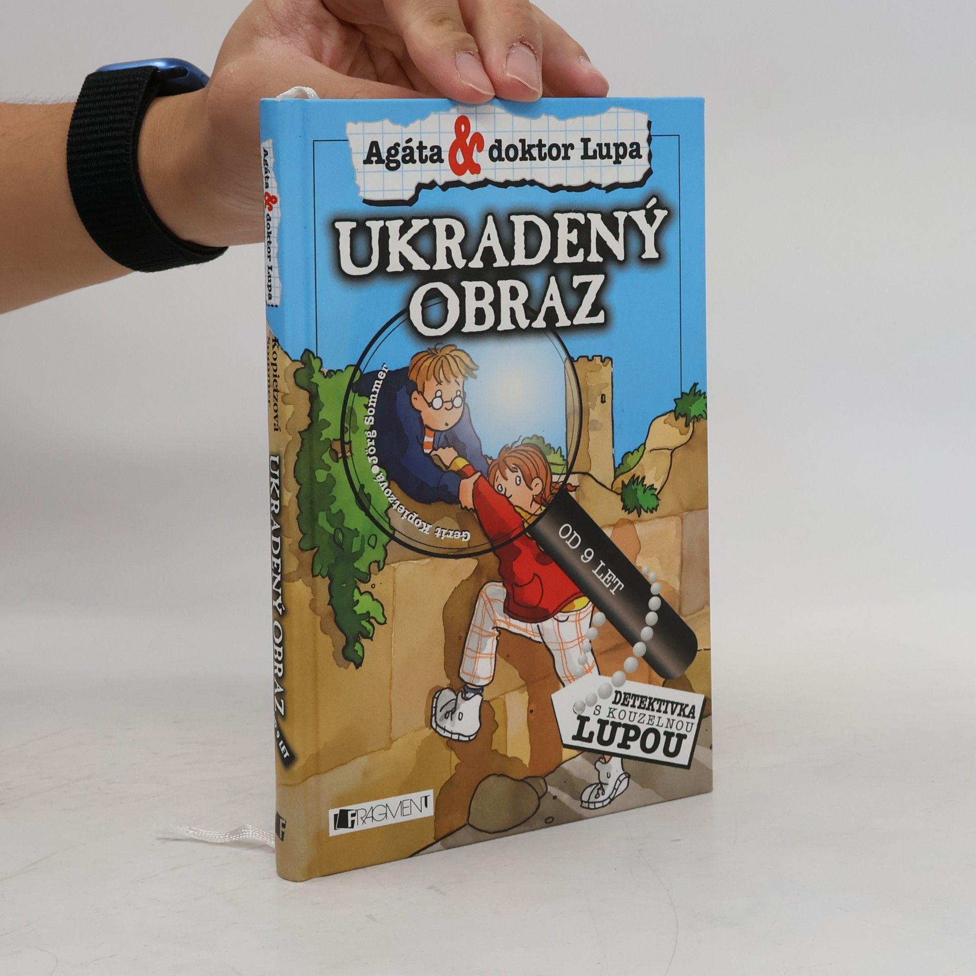 Jörg Sommer Ukradený obraz
