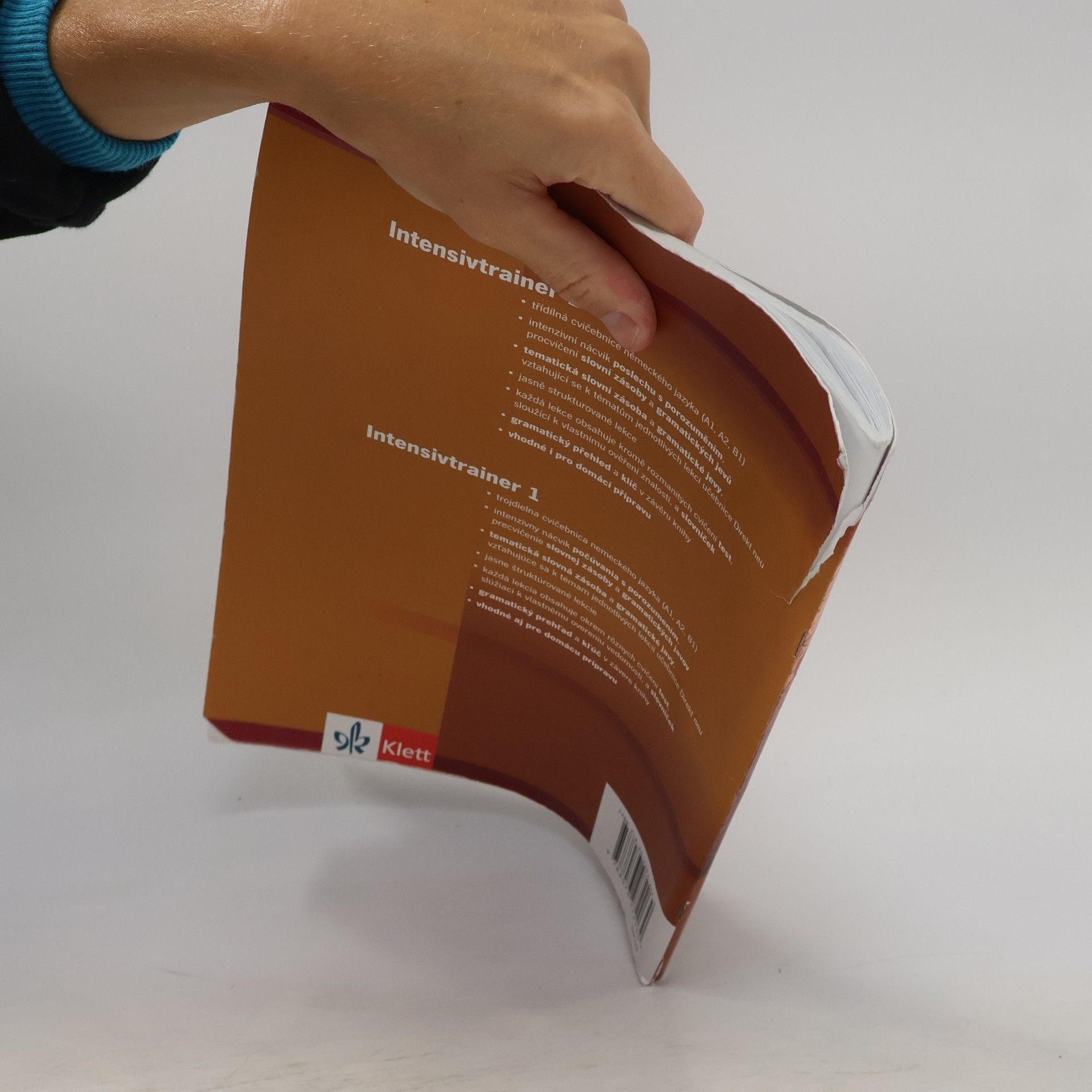 Autorenkollektiv Direkt neu 1 (A1-A2) Intensivtrainer