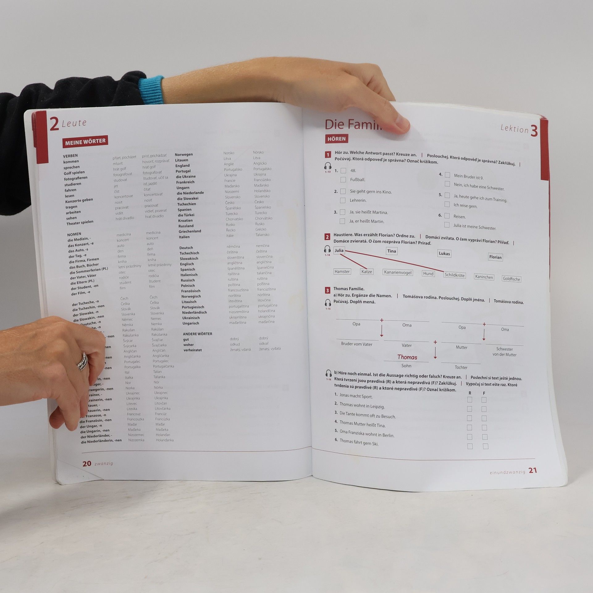 Autorenkollektiv Direkt neu 1 (A1-A2) Intensivtrainer