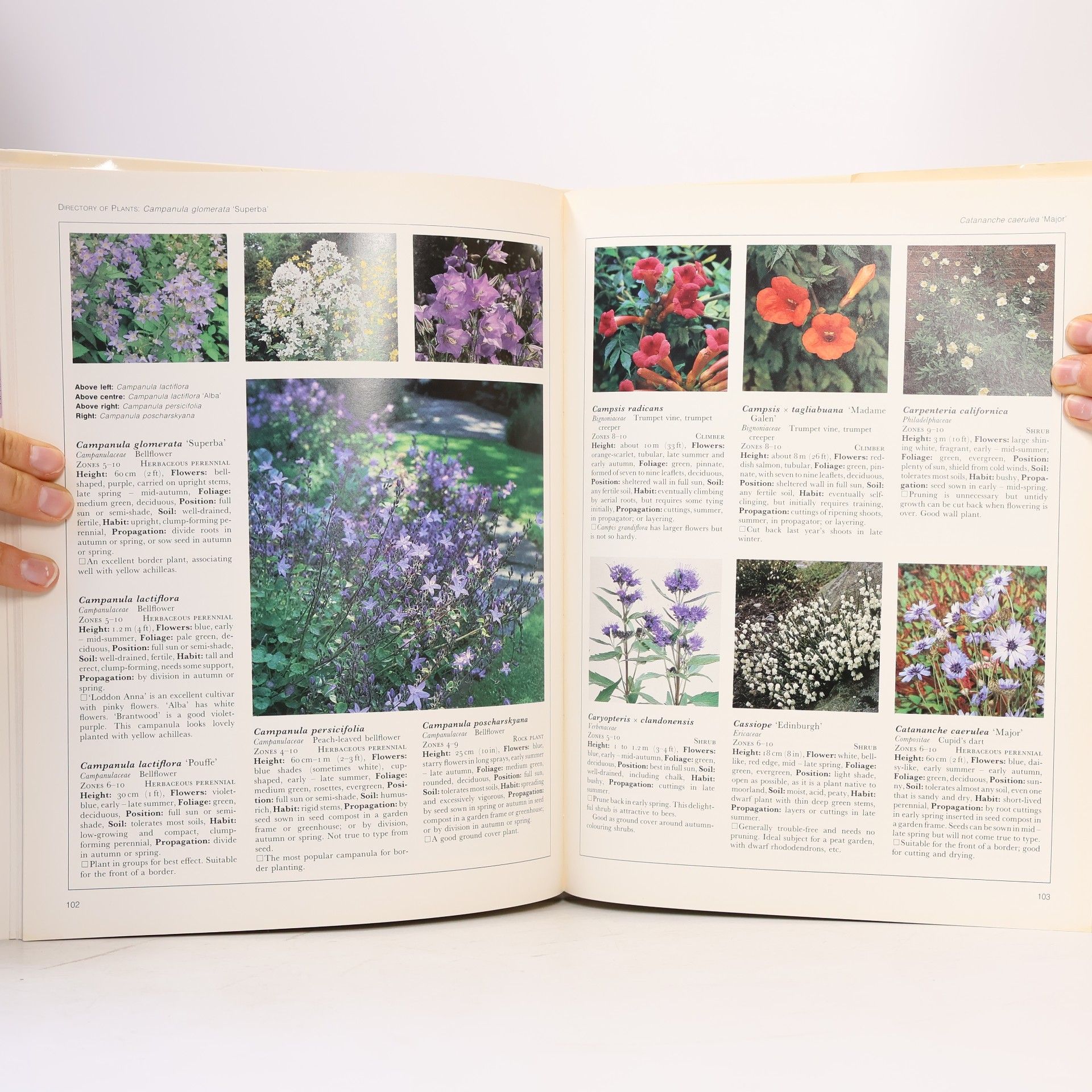 Hugh Williams The Hamlyn Guide to Plant Selection
