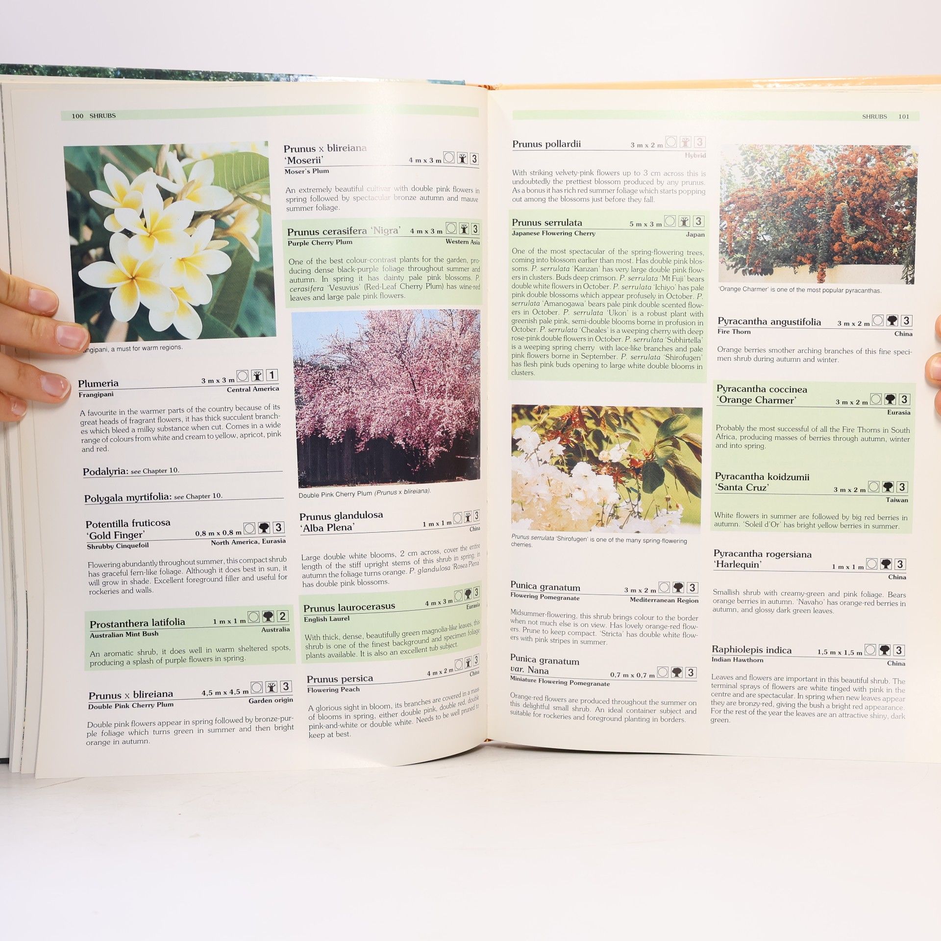 Adam Pasco Keith Kirsten's Complete Garden Manual for South Africa