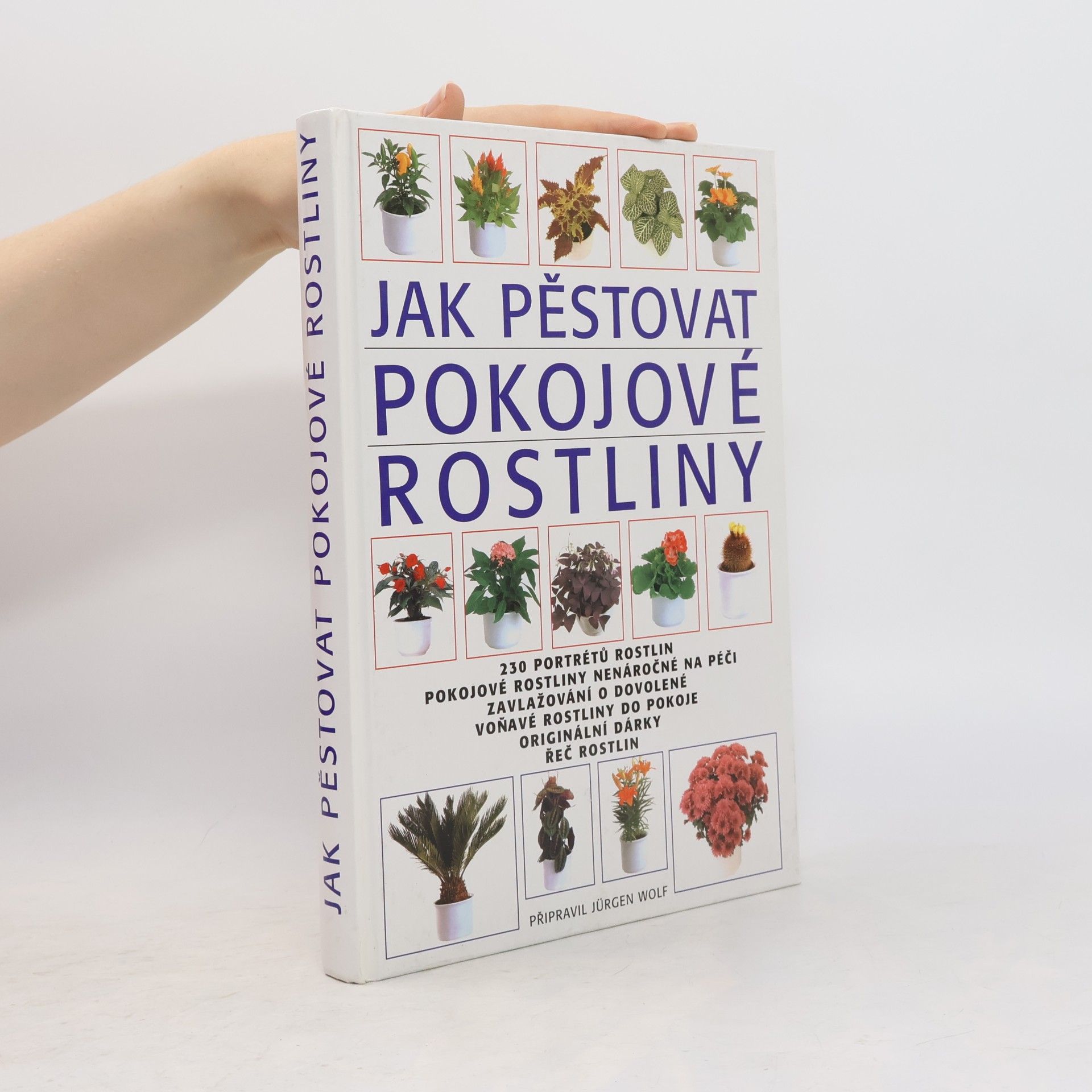 Jürgen Wolff Jak pěstovat pokojové rostliny
