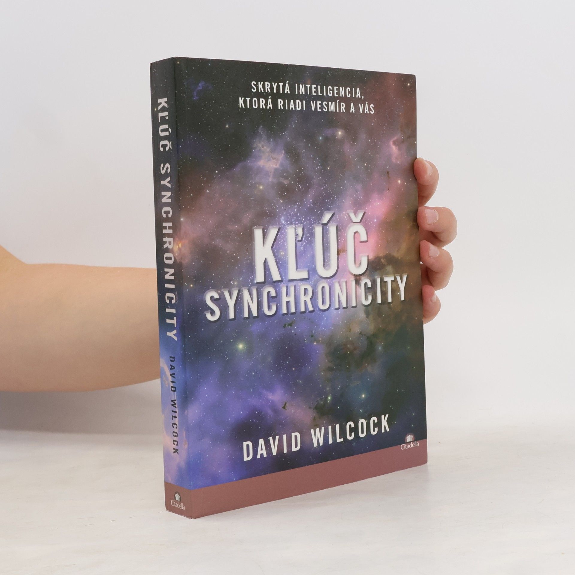 David Wilcock Klúč synchronicity
