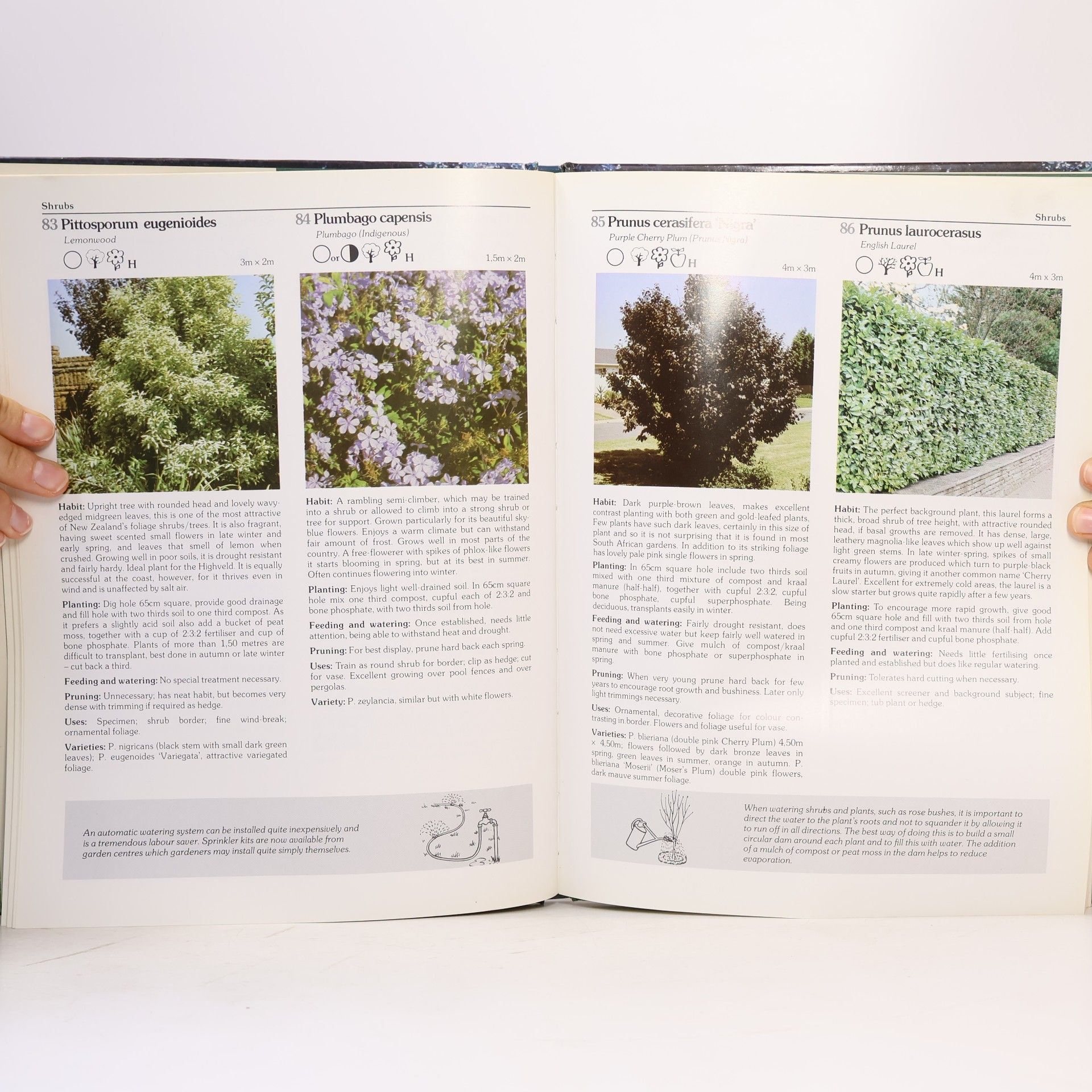 Keith Kirsten Keith Kirsten's Down to Earth Garden Book