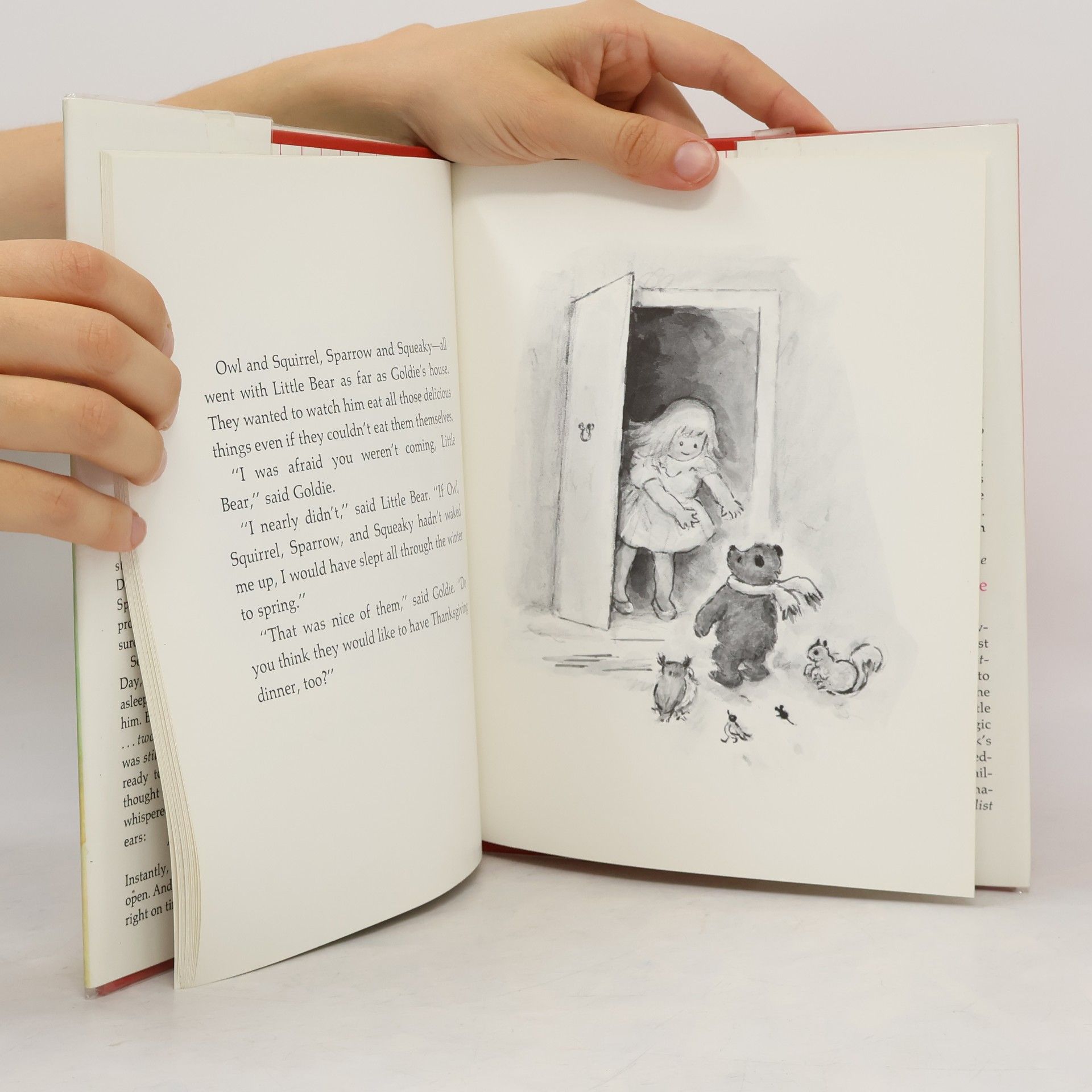 Janice Brustlein Little Bear's Thanksgiving - Library Edition
