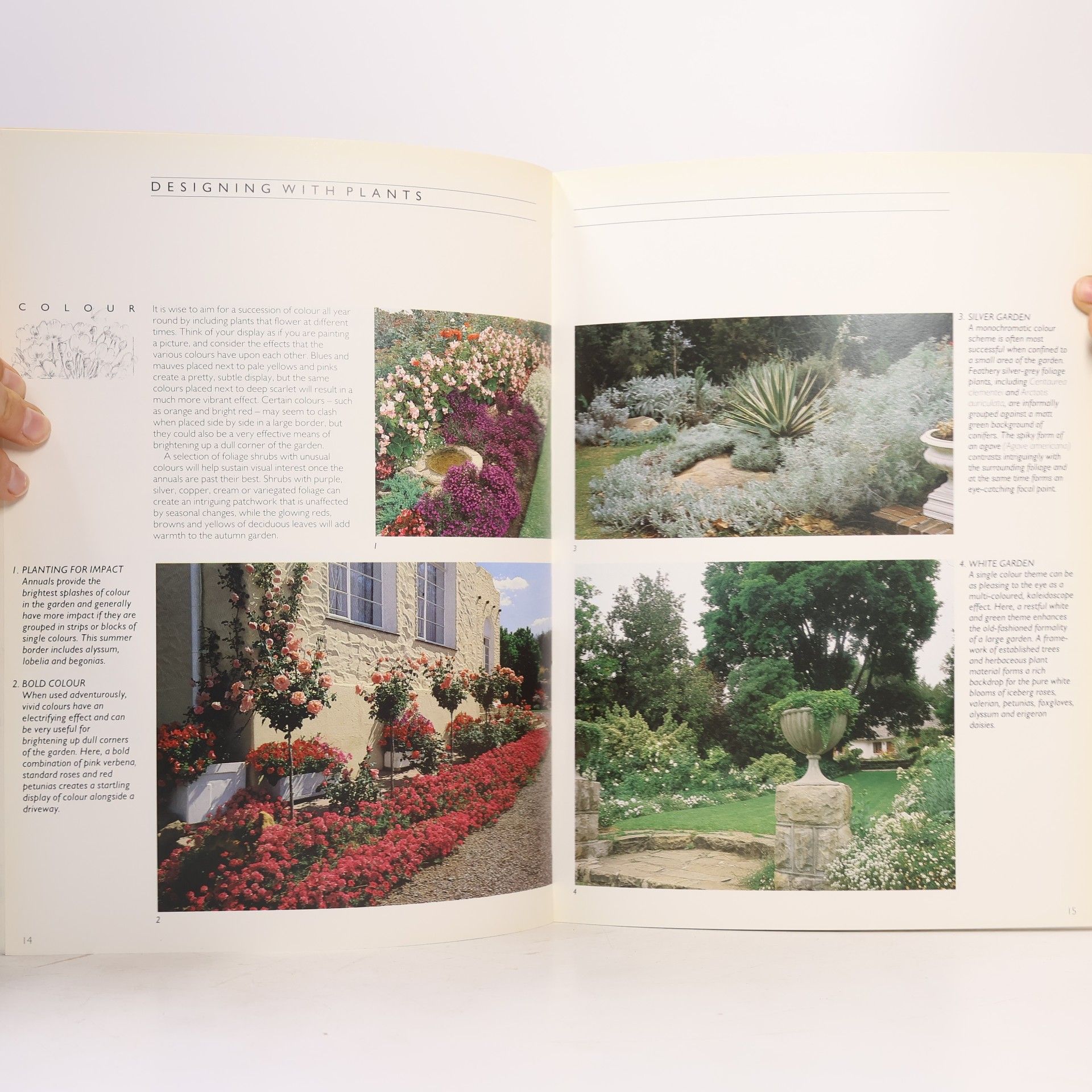 Diana Wemyss The South African Book of Garden Ideas