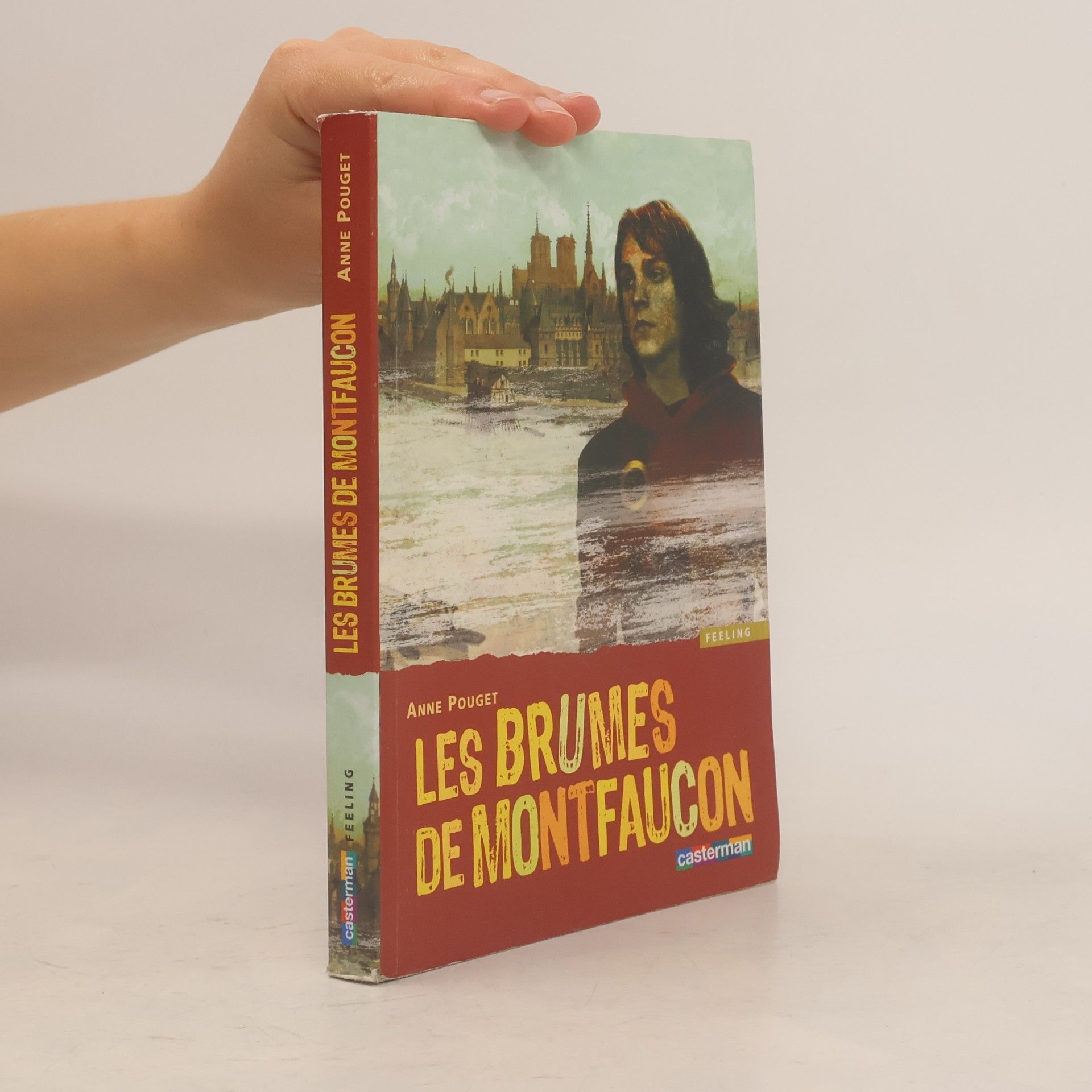 Pouget-Tolu, Anne Les brumes de montfaucon