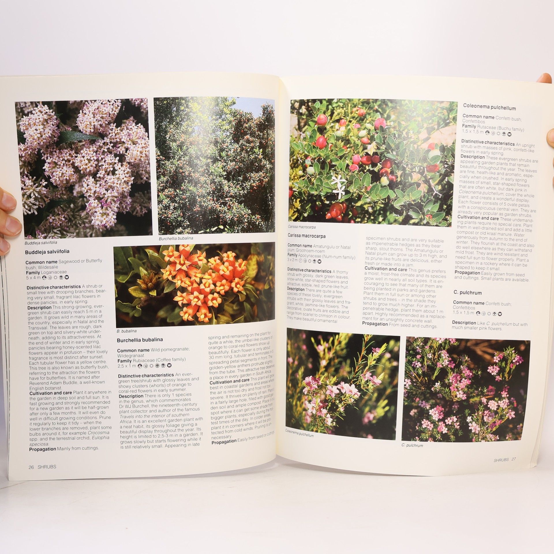 Kristo Pienaar Gardening with Indigenous Plants