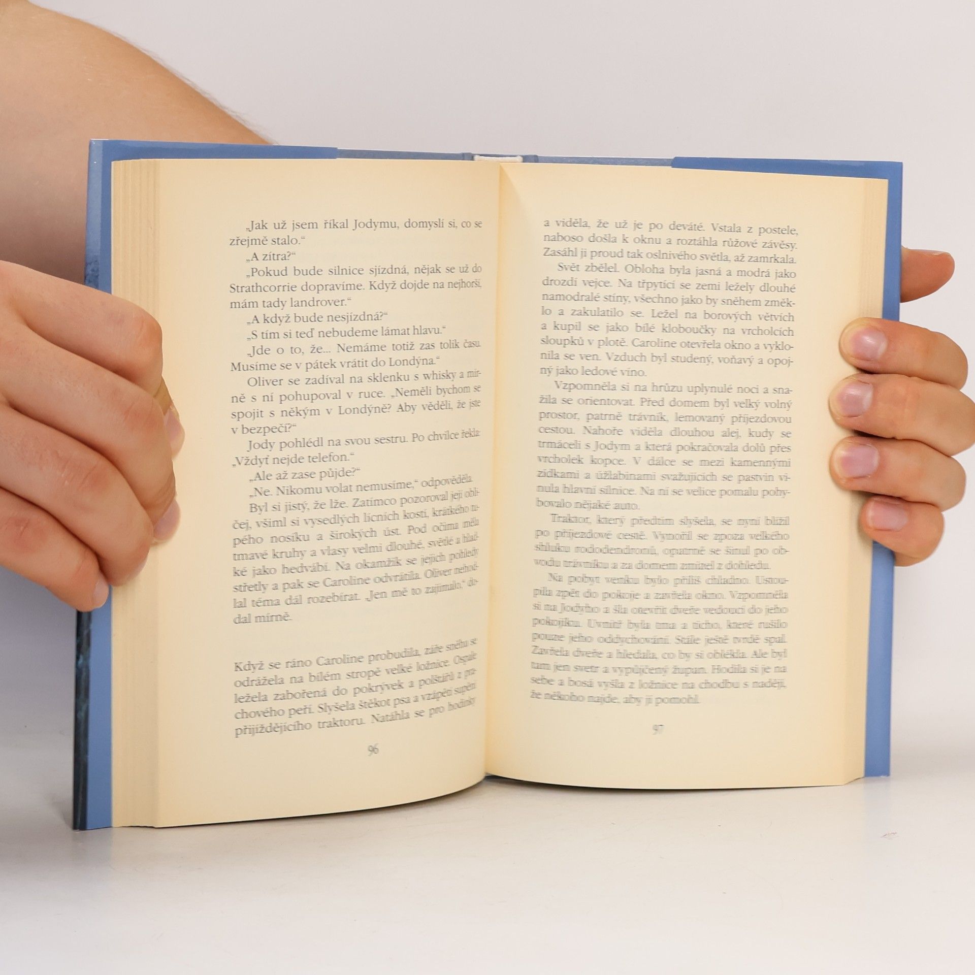 Rosamunde Pilcher Jarní vánice