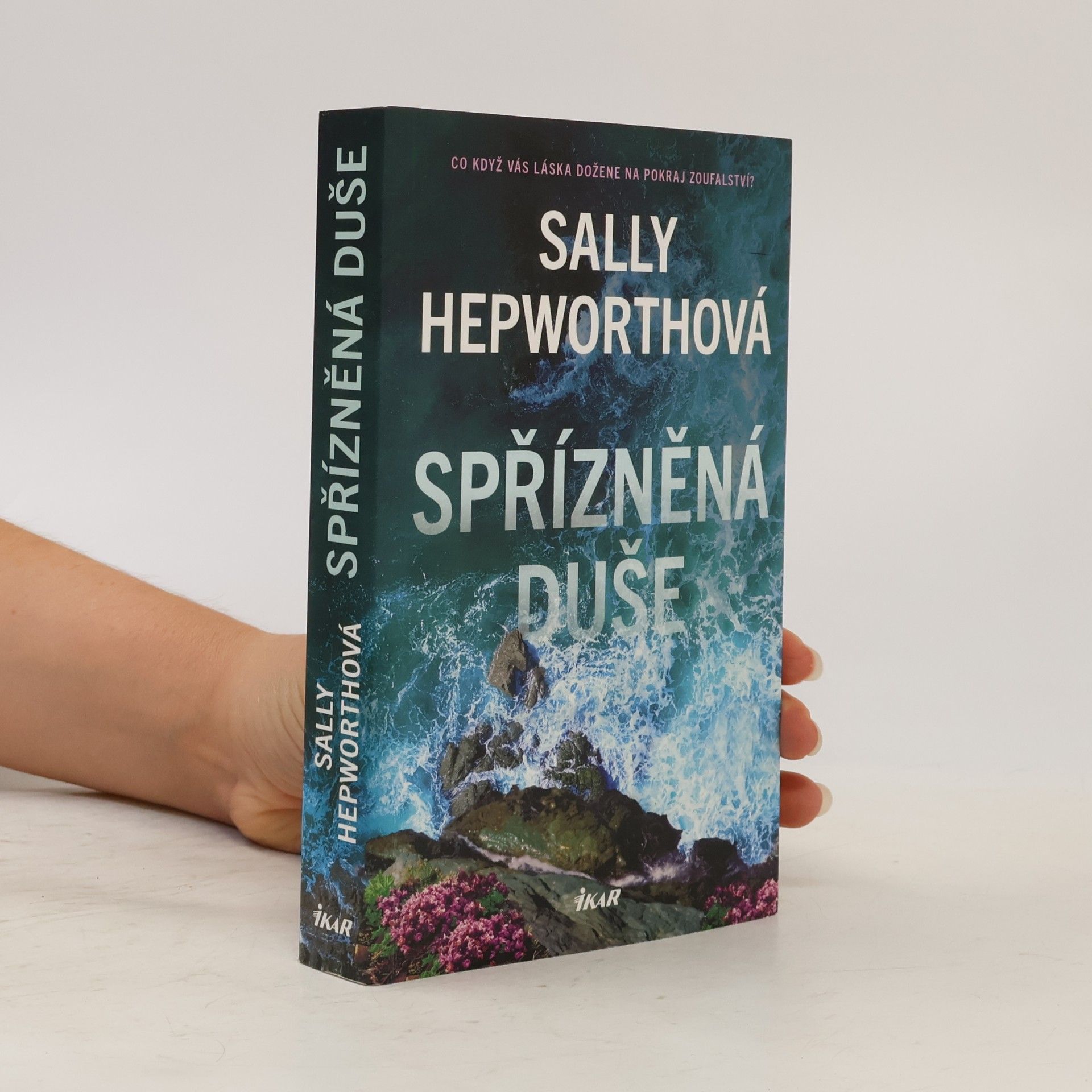 Sally Hepworth Spřízněná duše