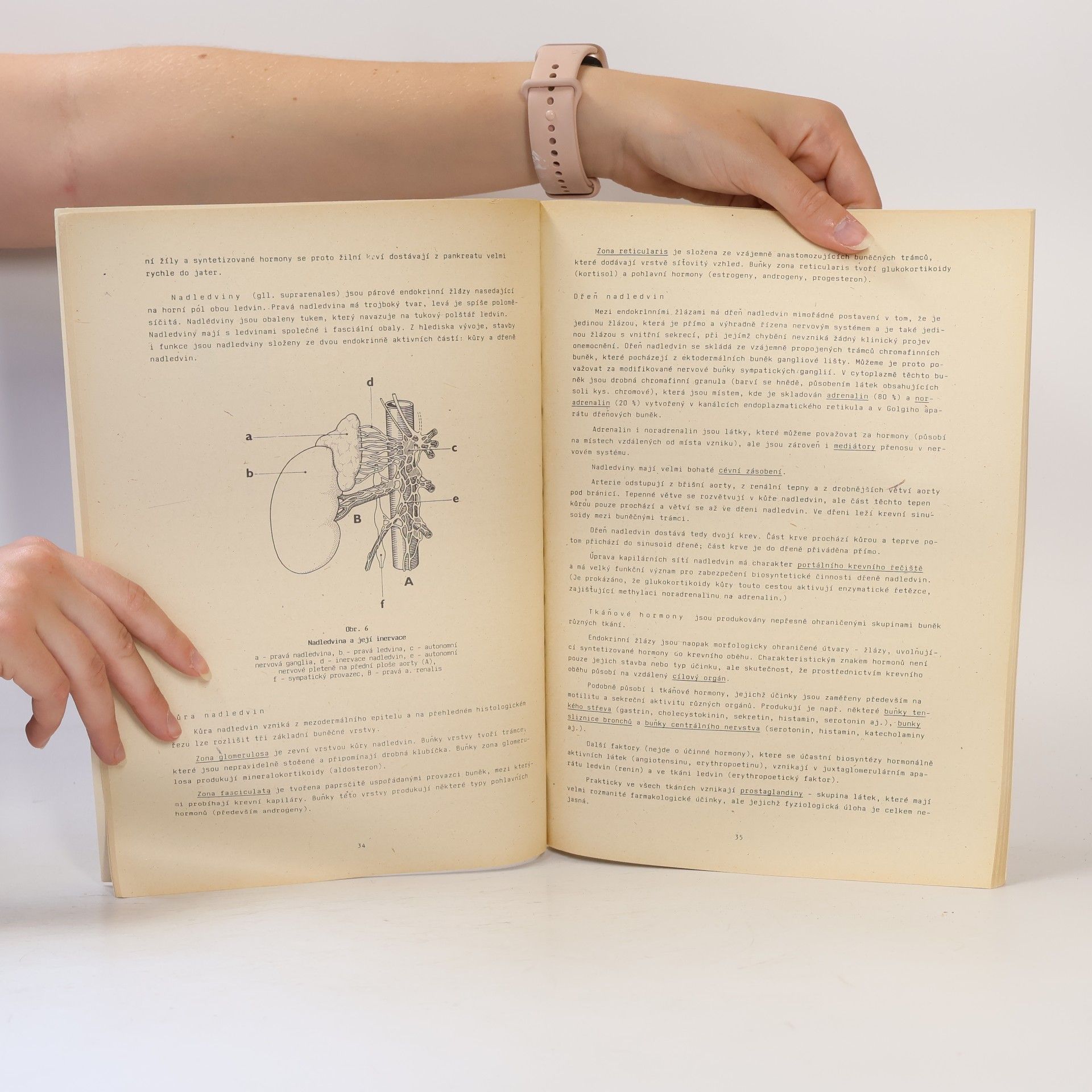 Ivan Dylevský Funkční a aplikovaná anatomie člověka