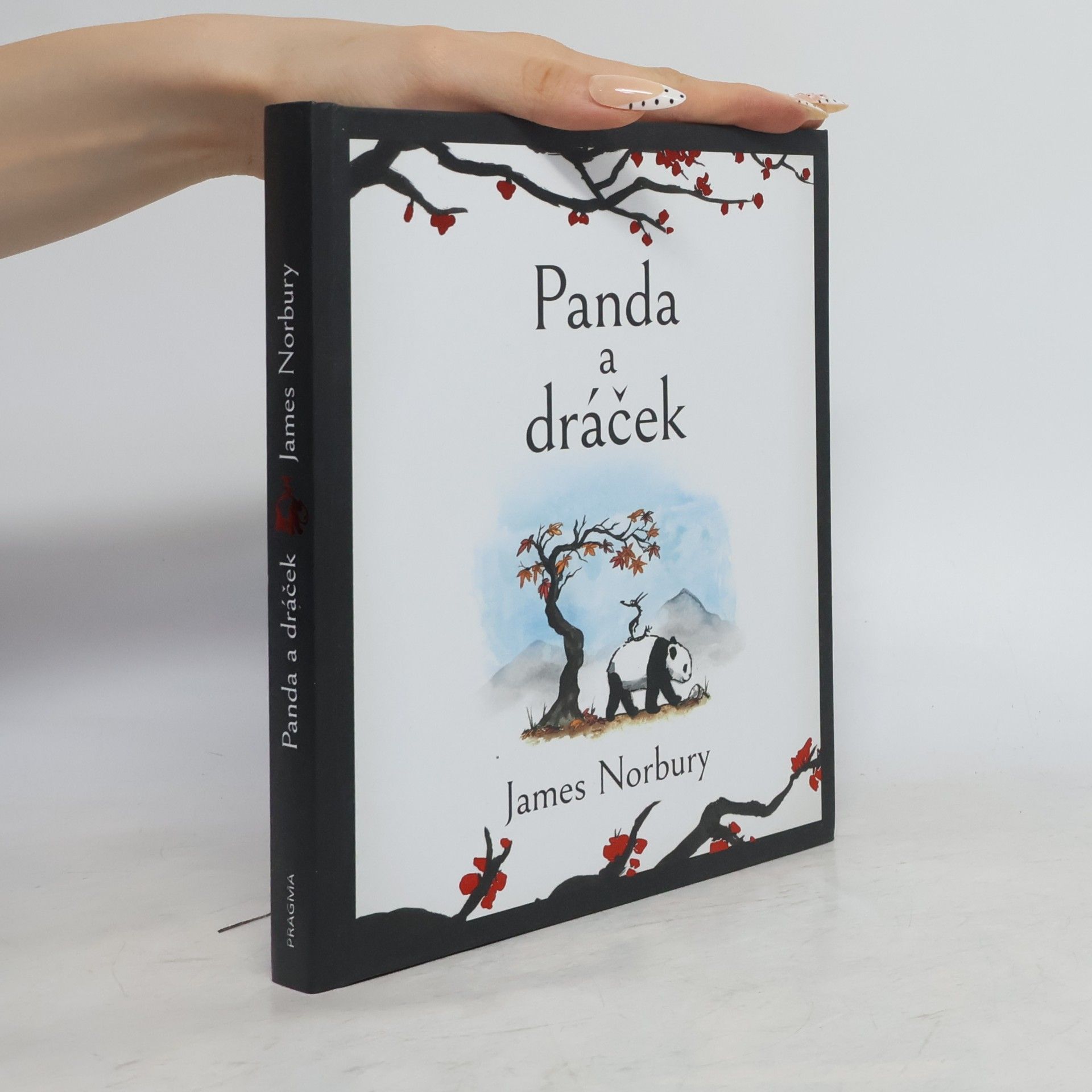 James Norbury Panda a dráček