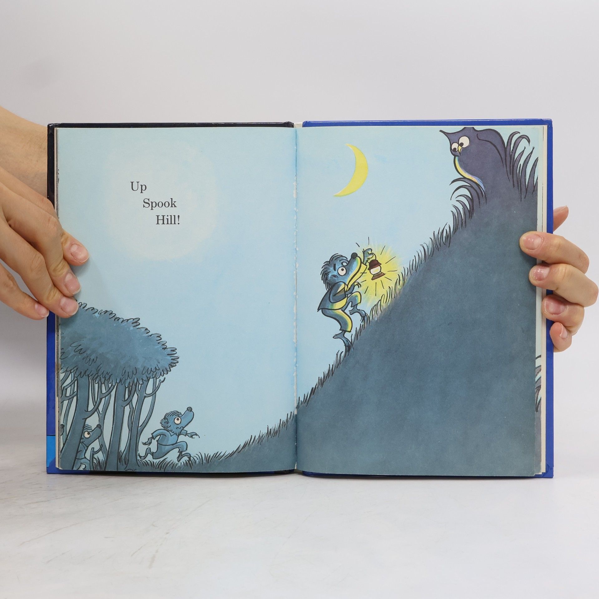 Stan Berenstain Bright and Early Books for Beginning Beginners - 10: Bears in the Night