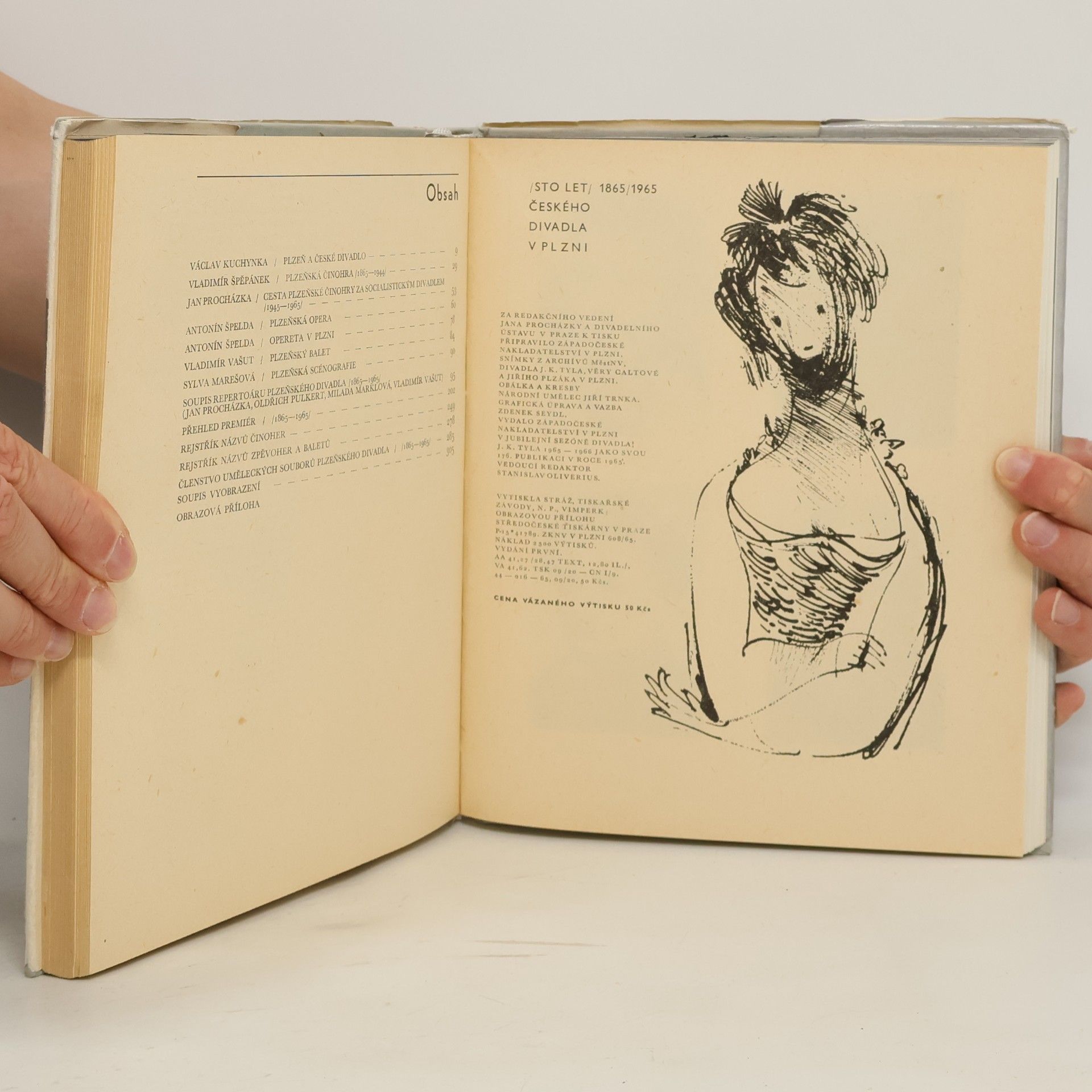 Kolektiv autorů Sto let českého divadla v Plzni 1865-1965