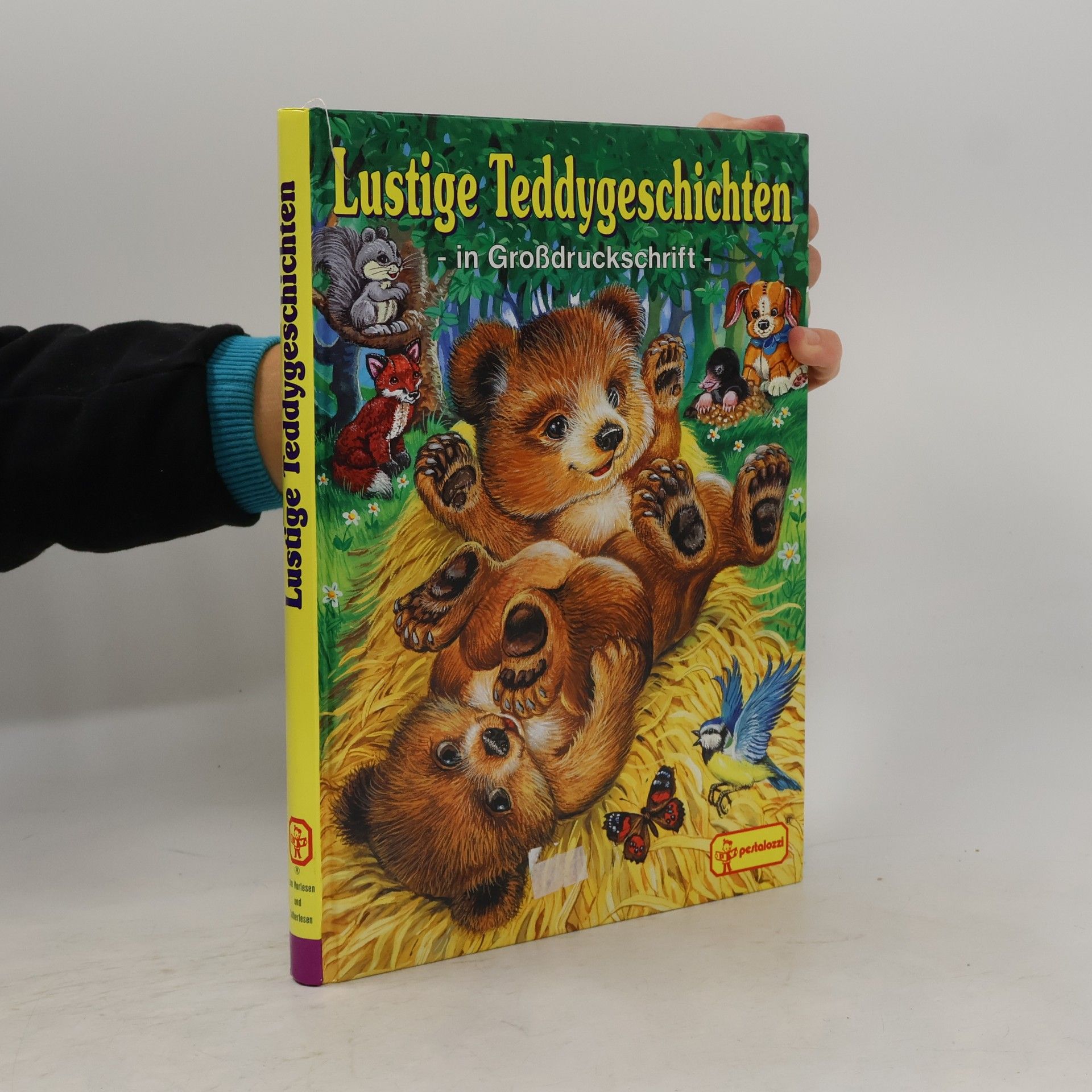Autorenkollektiv Lustige Teddygeschichten