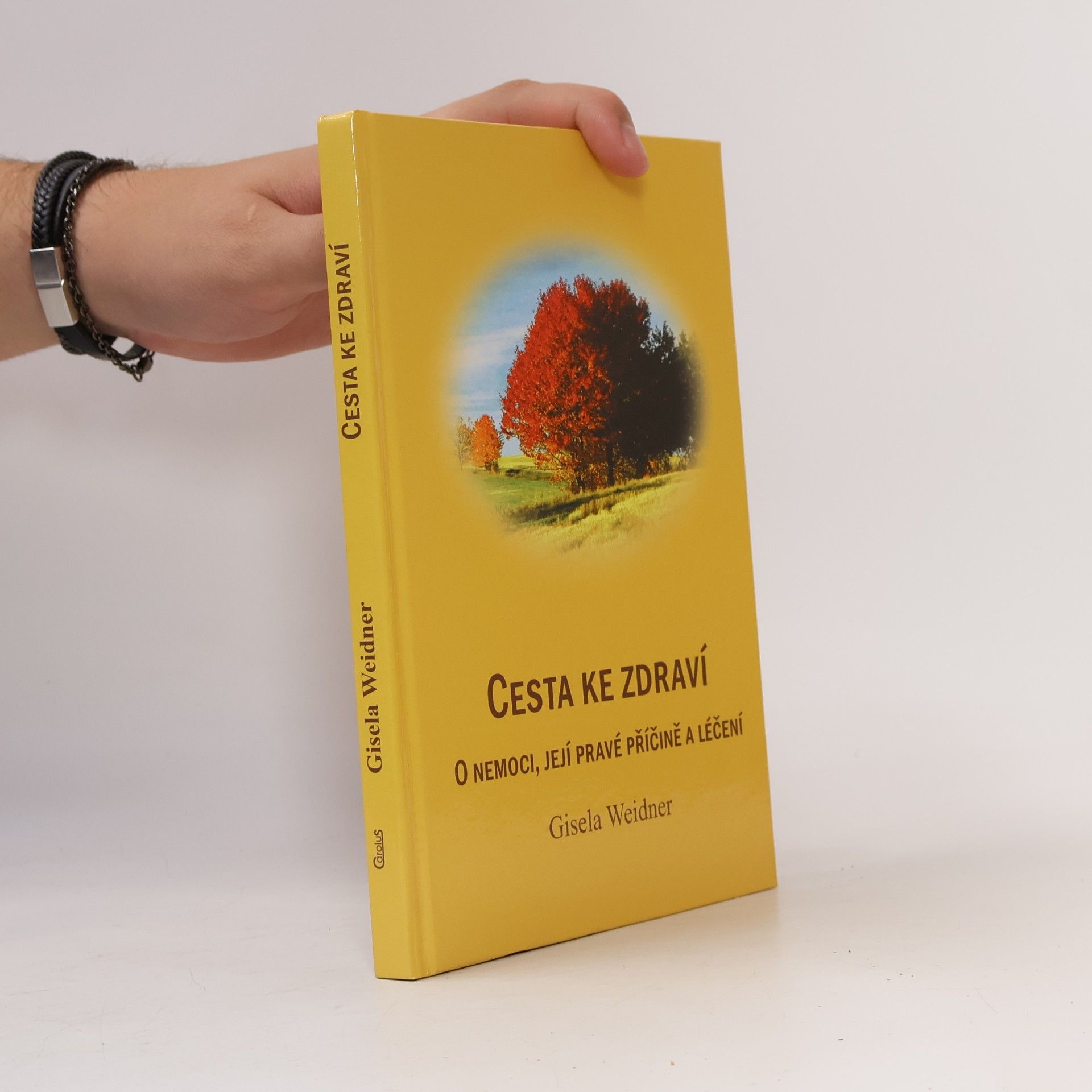 Gisela Weidner Cesta ke zdraví