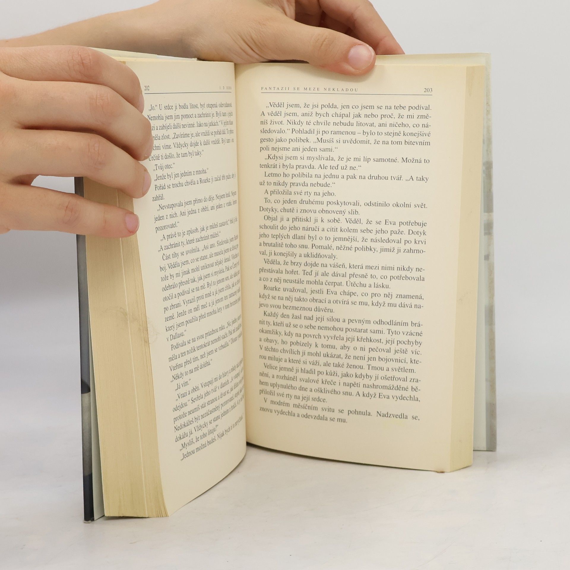 Nora Roberts Fantazii se meze nekladou