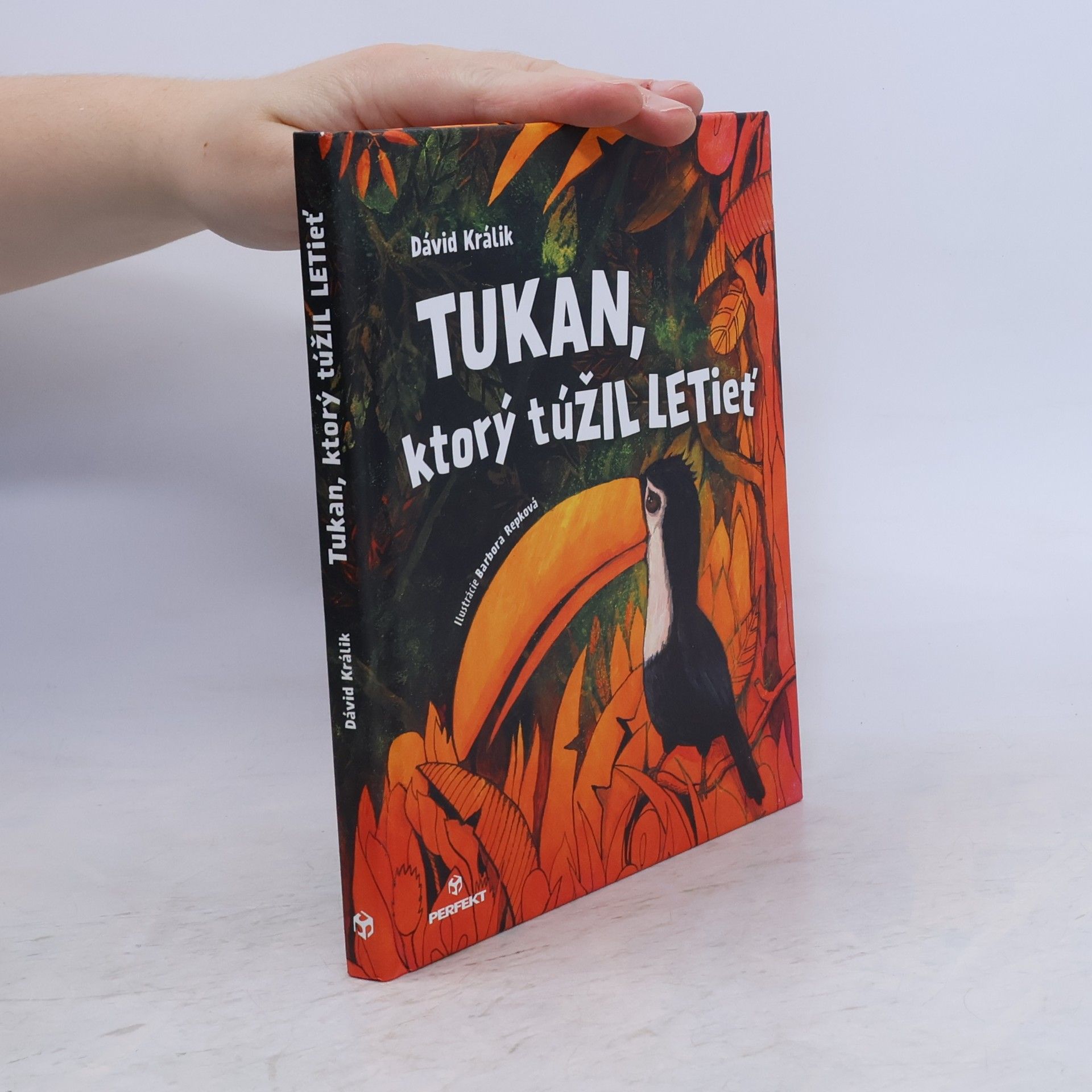 Dávid Králik Tukan, ktorý túžil letieť