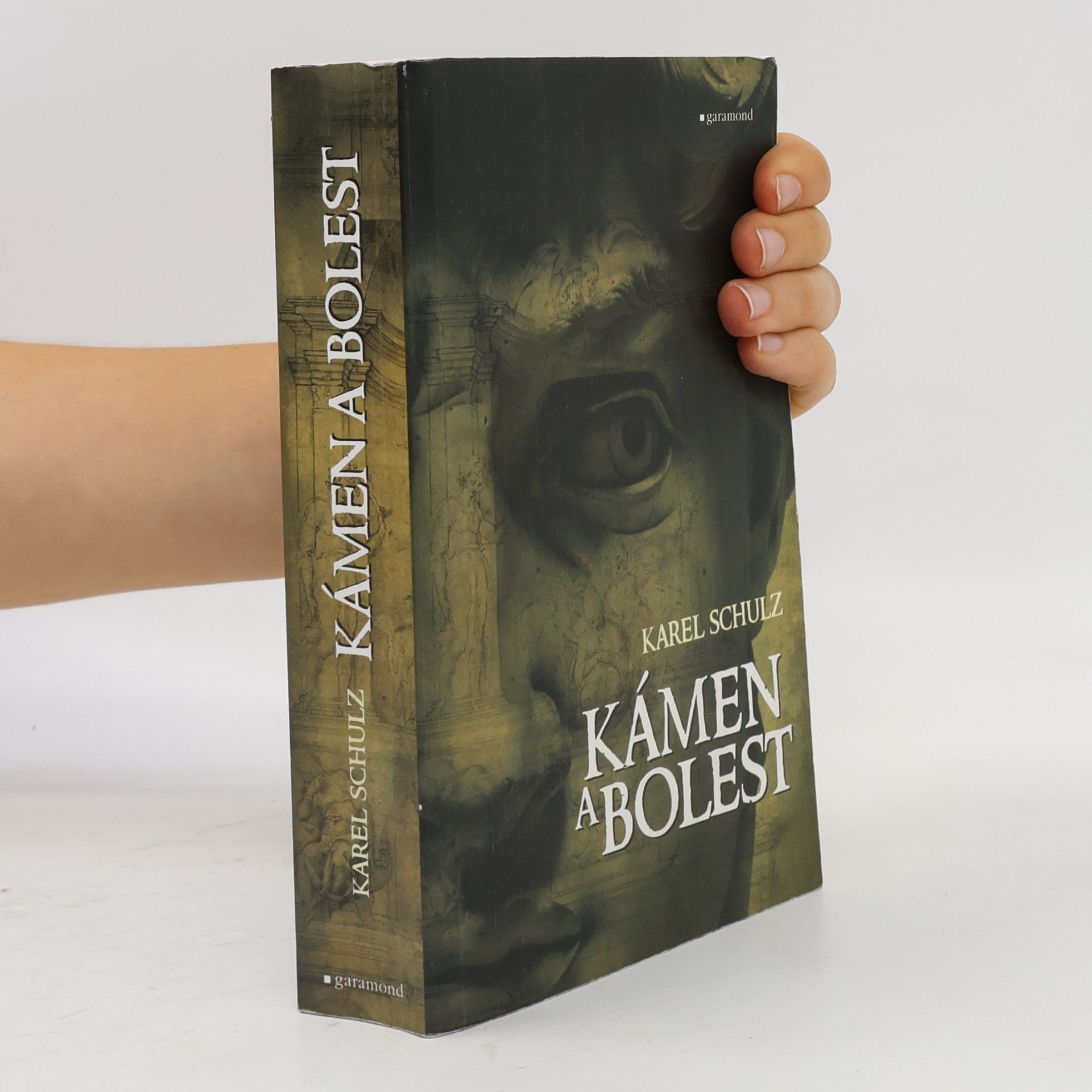 Karel Schulz Kámen a bolest