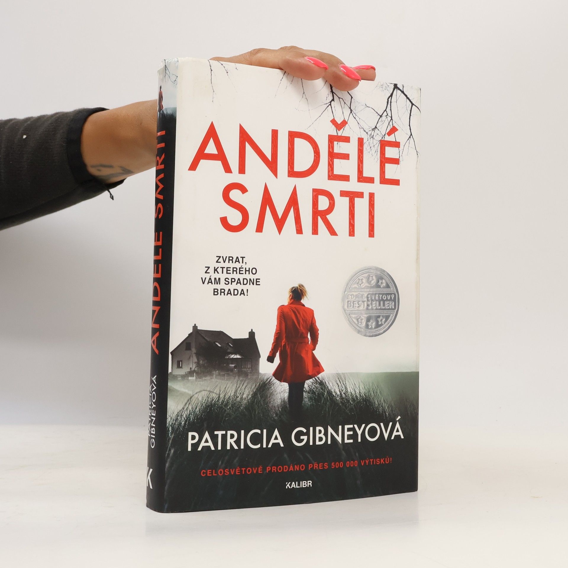 Patricia Gibney Andělé smrti
