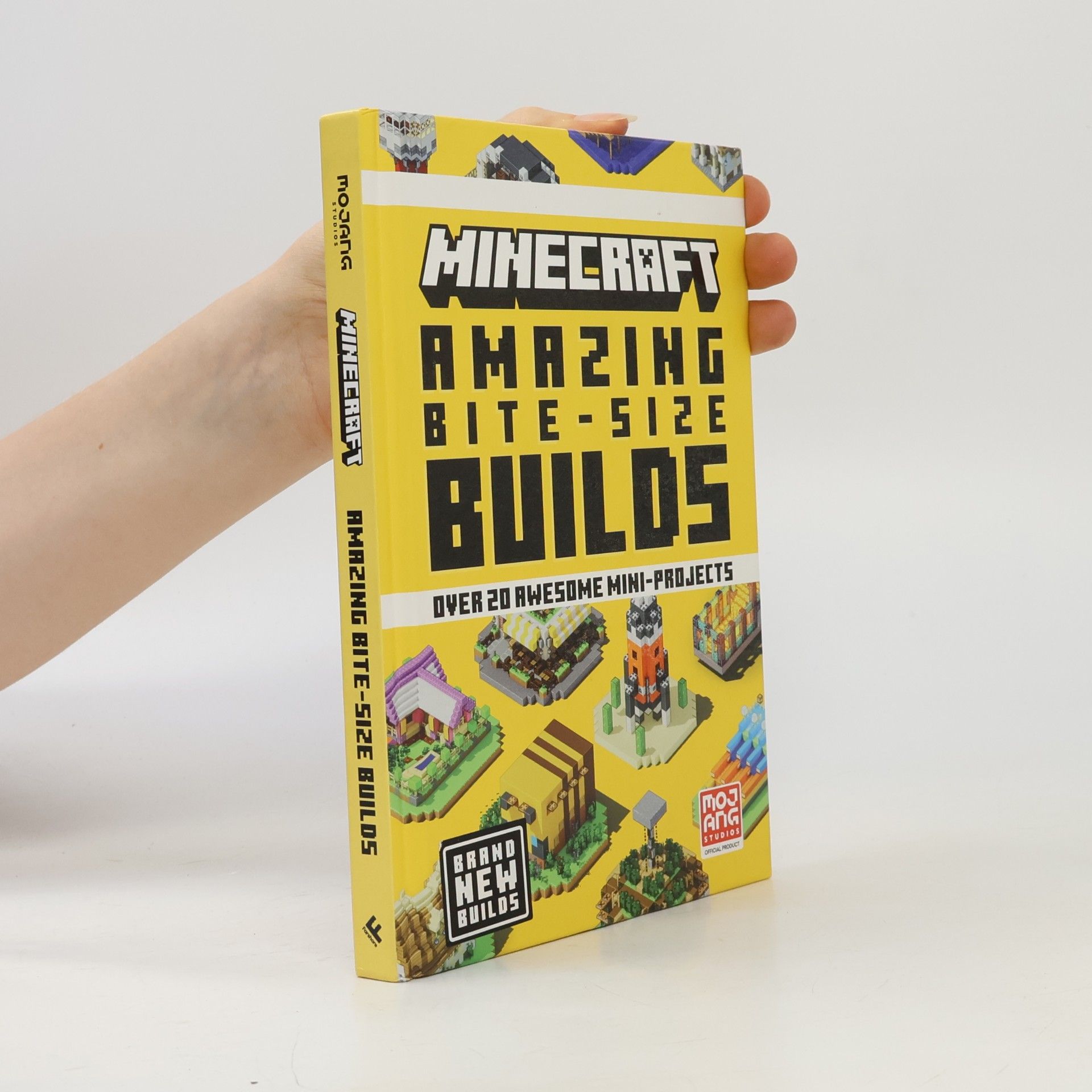 Auteurscollectief Minecraft Amazing Bite-Size Builds