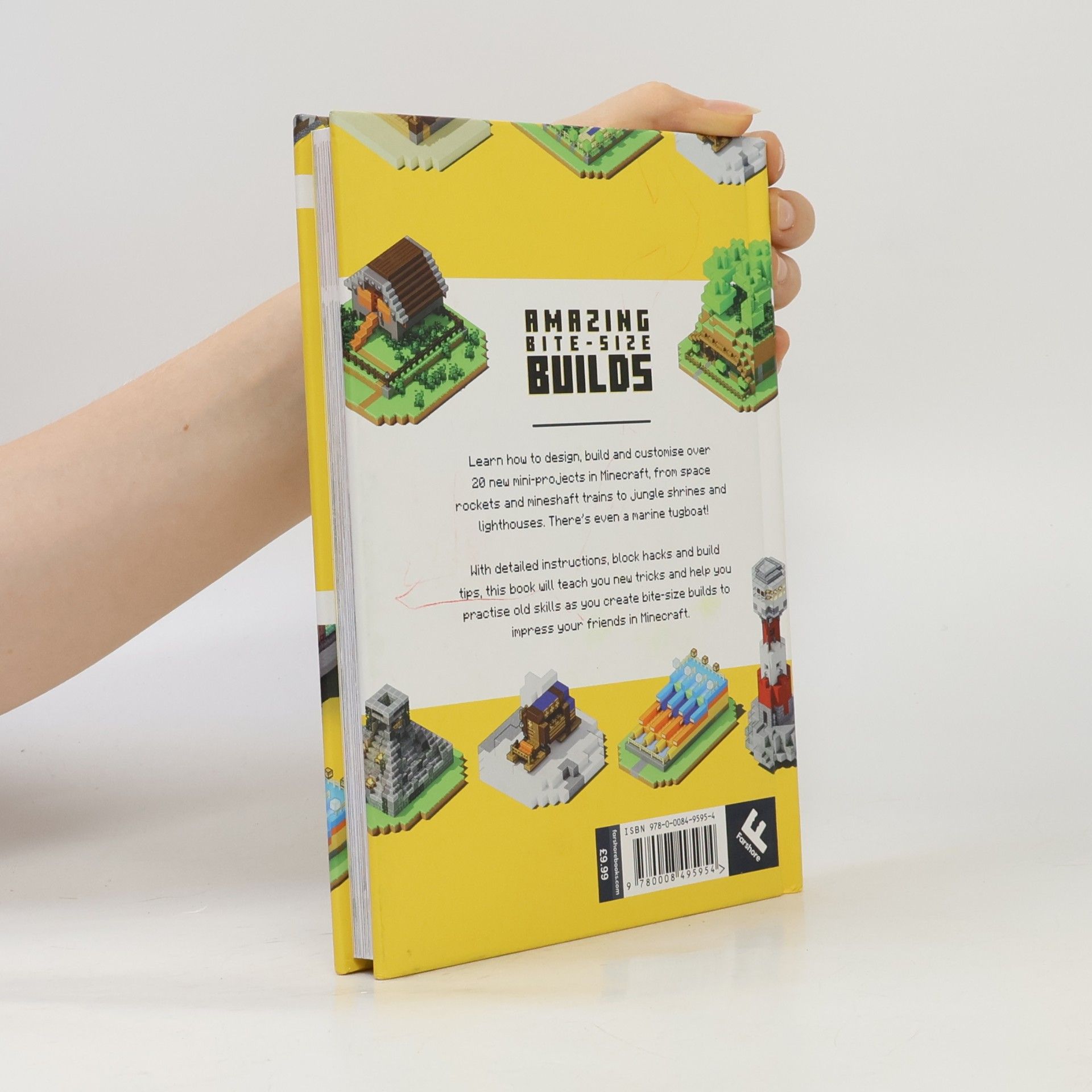 Auteurscollectief Minecraft Amazing Bite-Size Builds