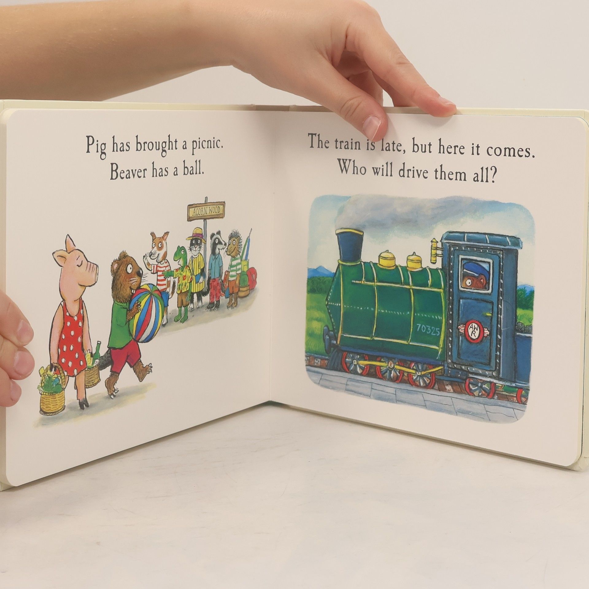 Julia Donaldson Tales From Acorn Wood: Frog's Day Out