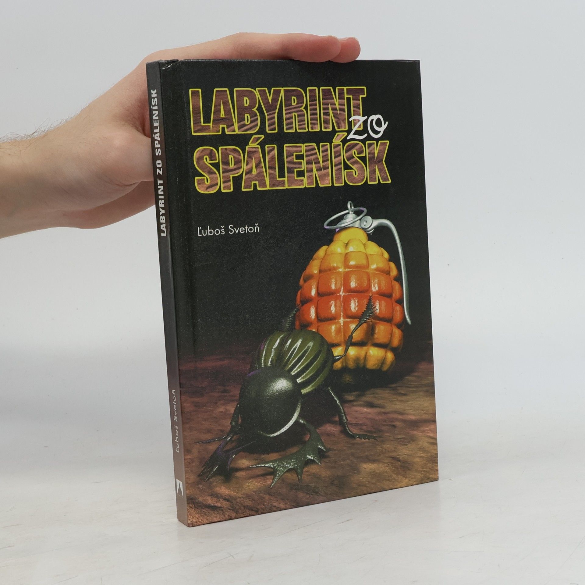 Ľuboš Svetoň Labyrint zo spálenísk