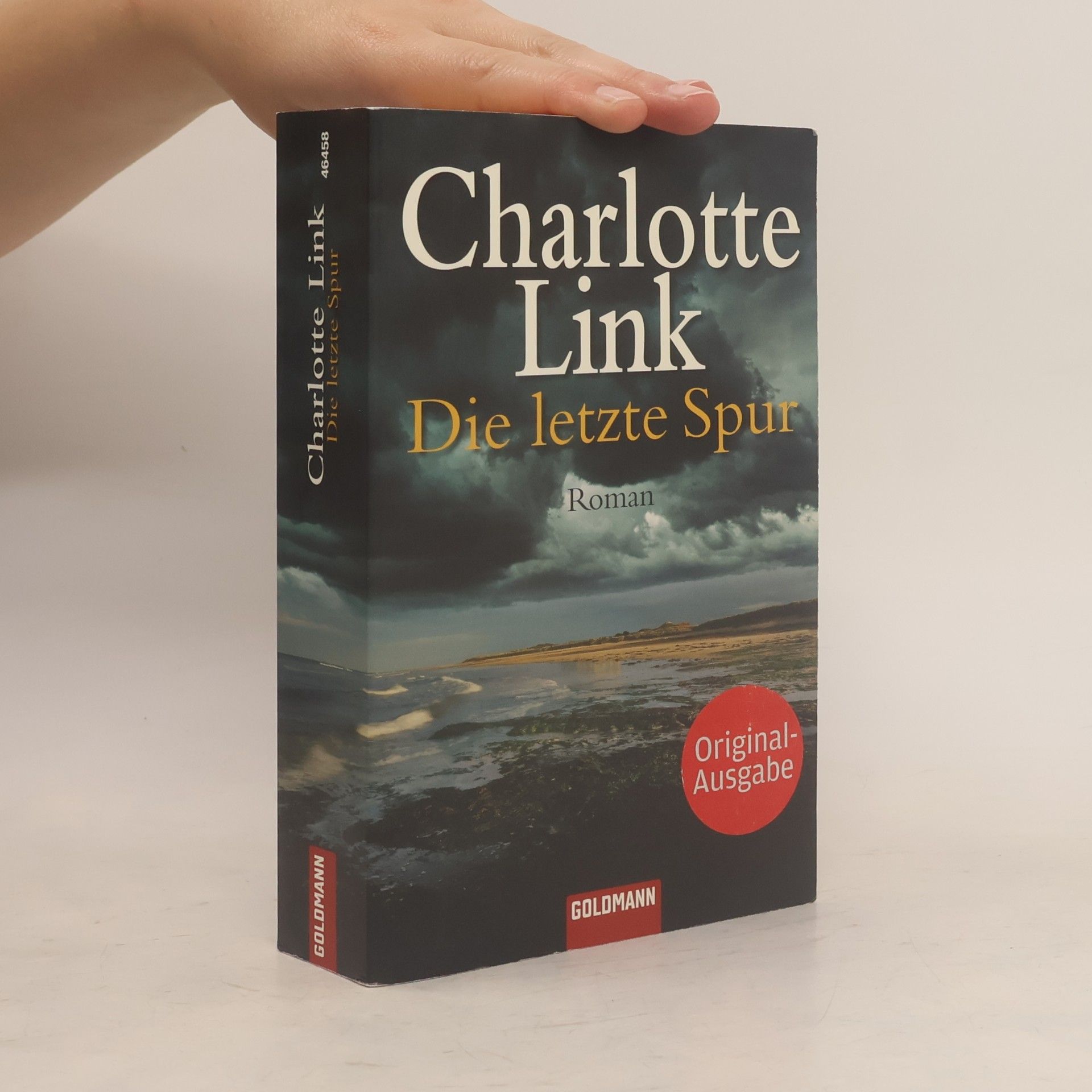 Charlotte Link Die letzte Spur
