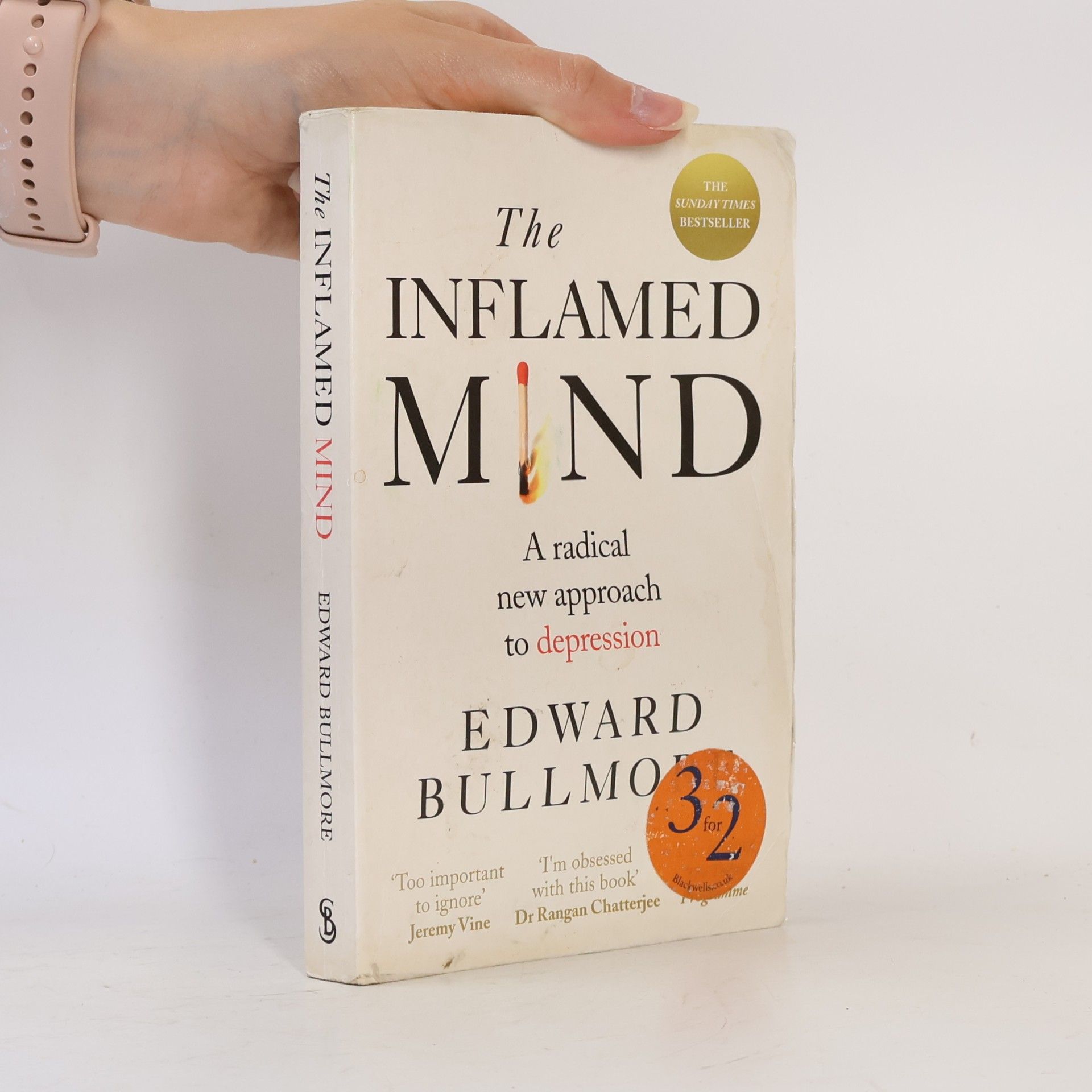 Edward Bullmore The Inflamed Mind