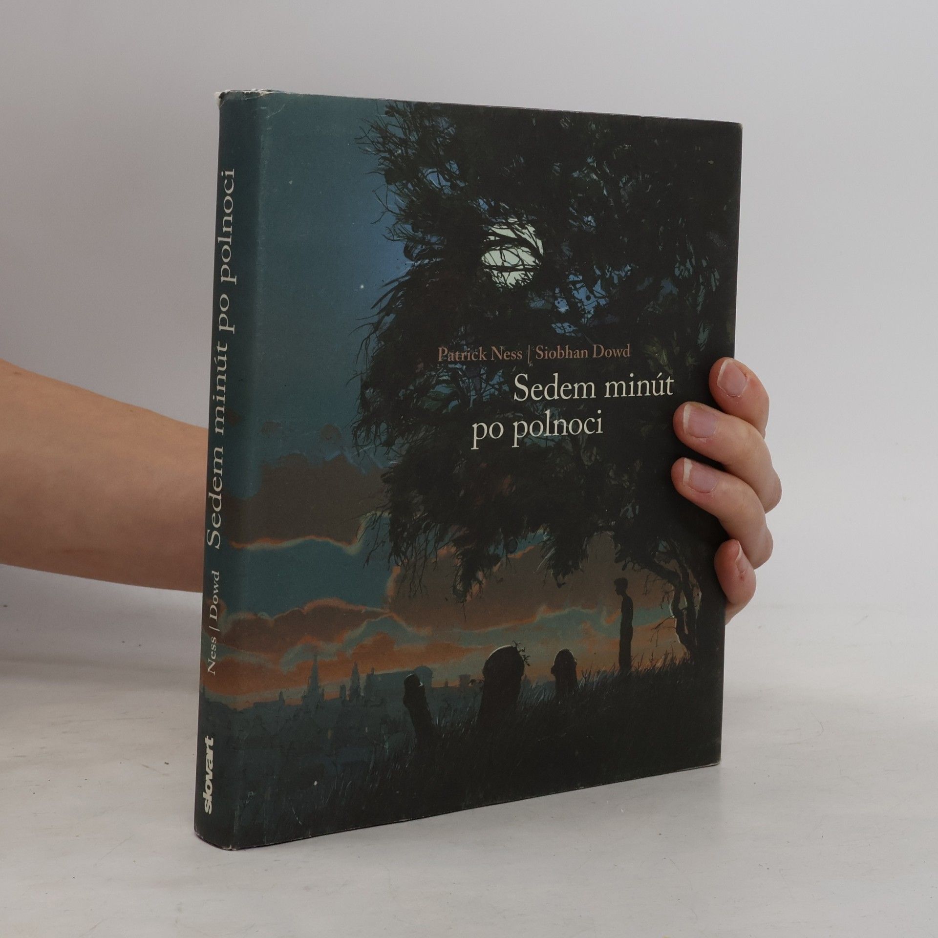 Patrick Ness Sedem minút po polnoci
