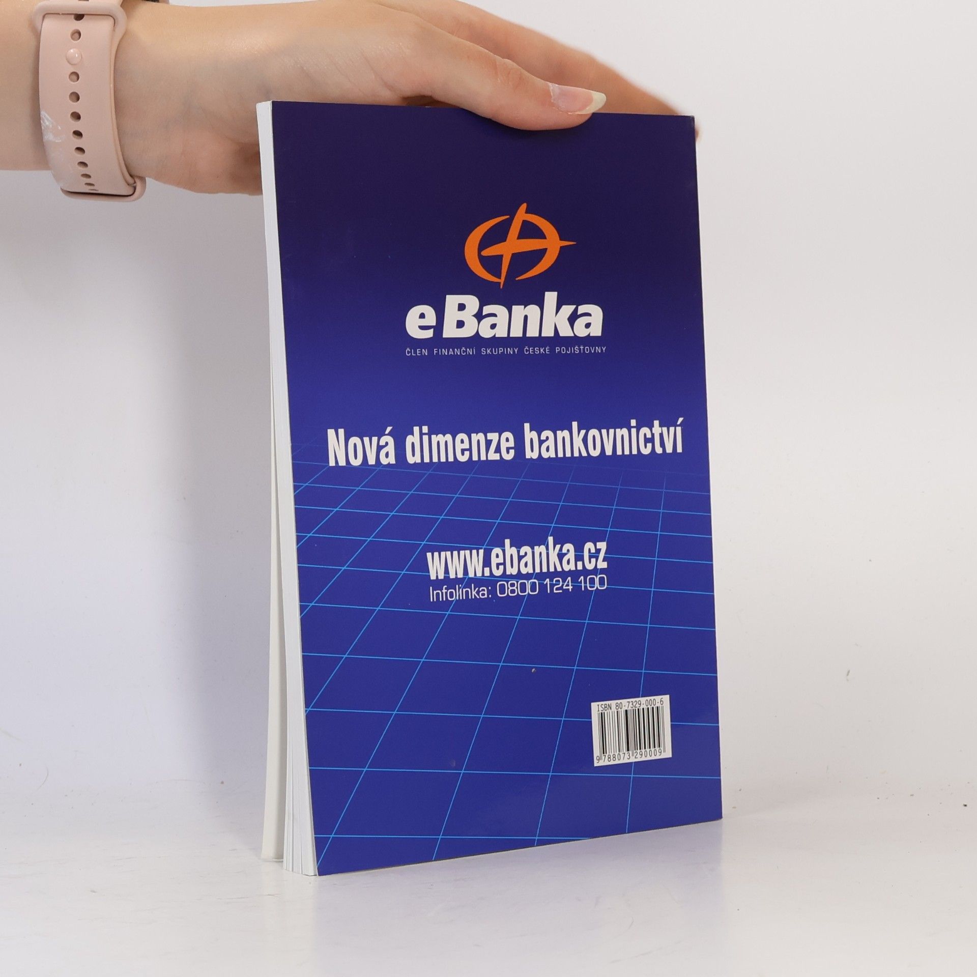 Eva Grublová Internetová ekonomika