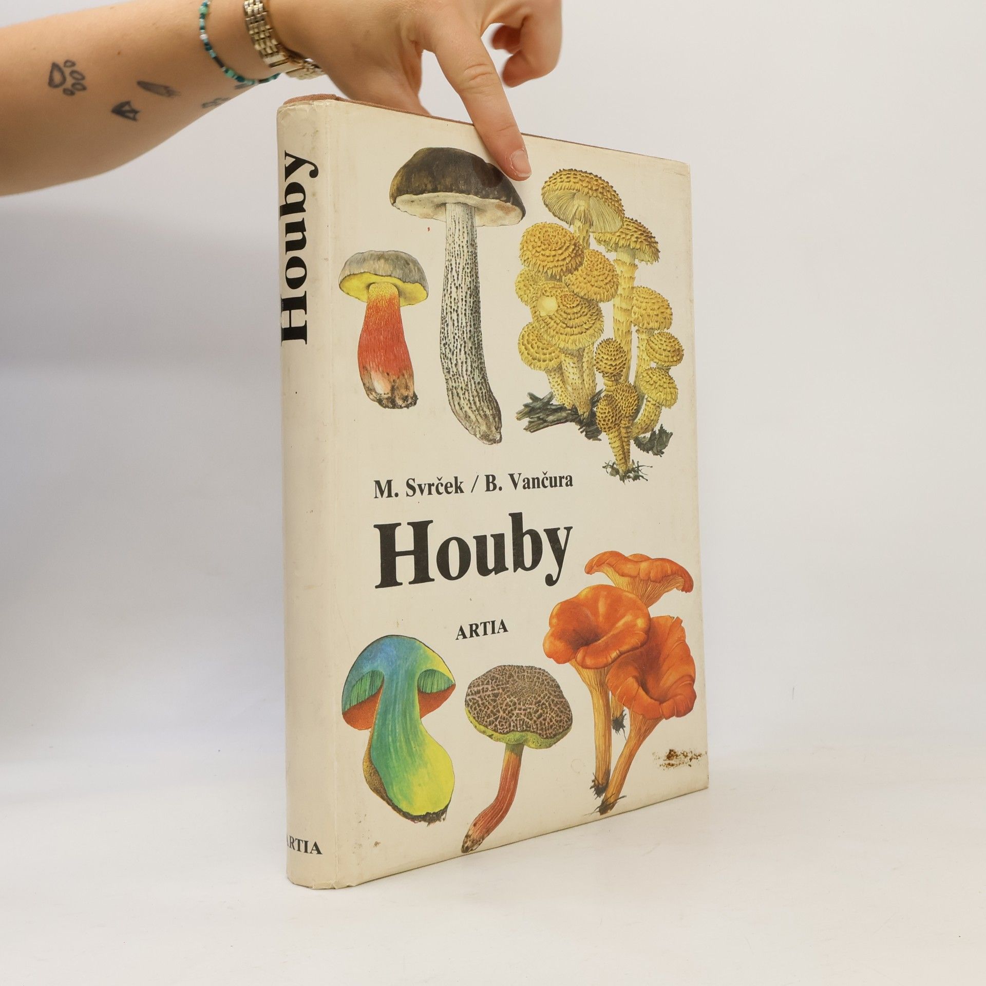 Houby
