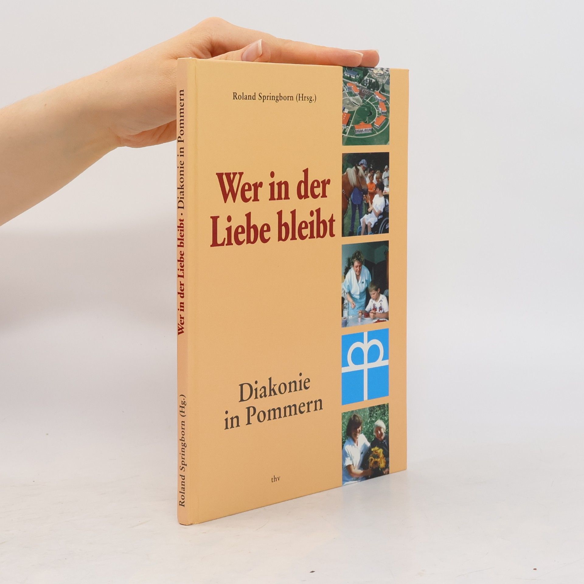 Roland Springborn Wer in der Liebe bleibt