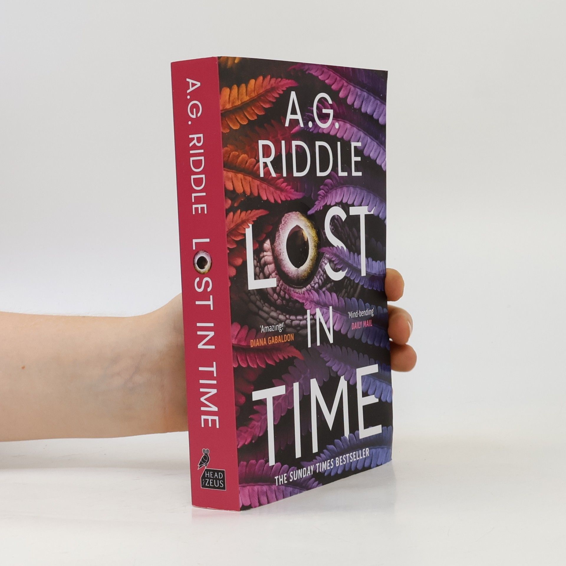 A.G. Riddle Lost in Time