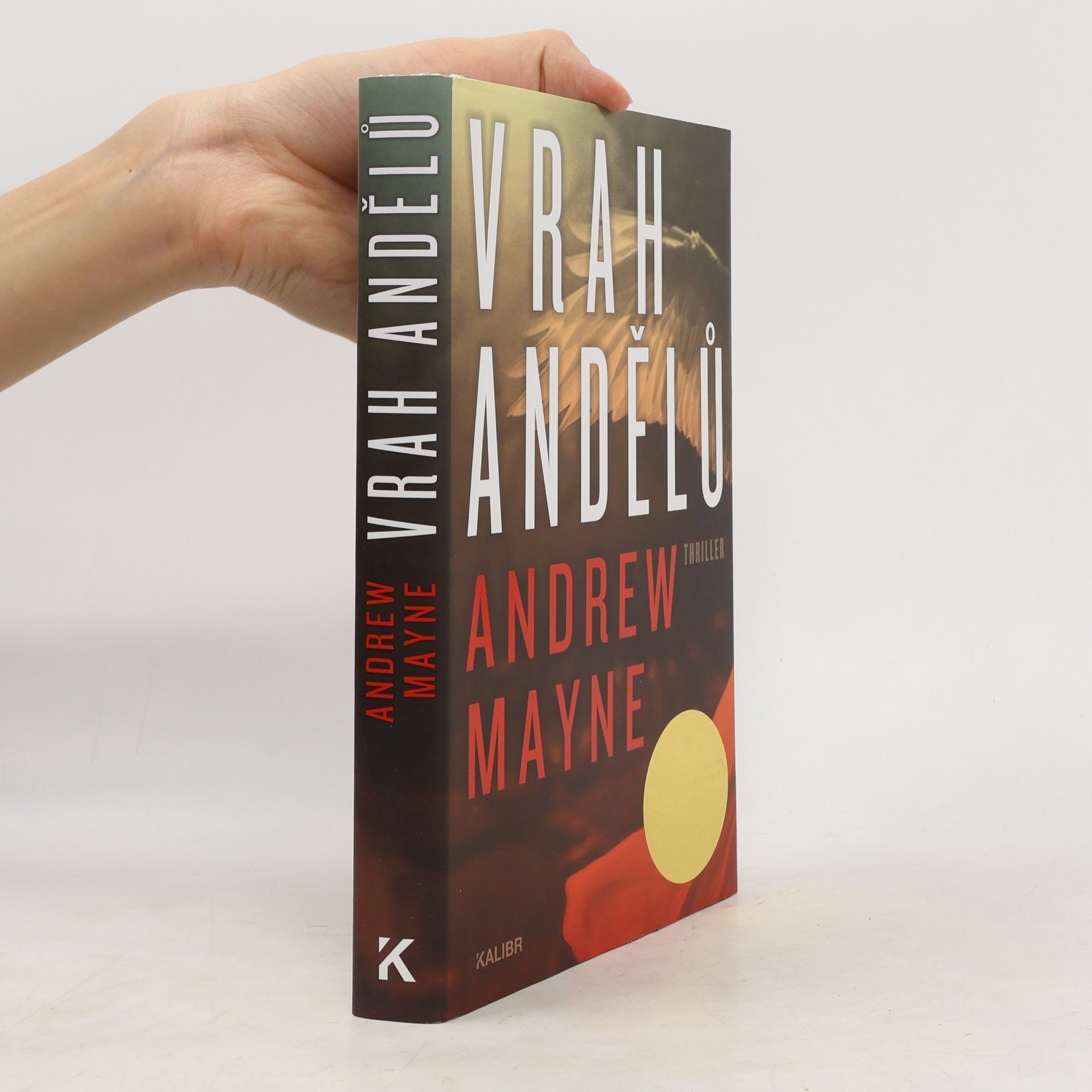 Andrew Mayne Vrah andělů
