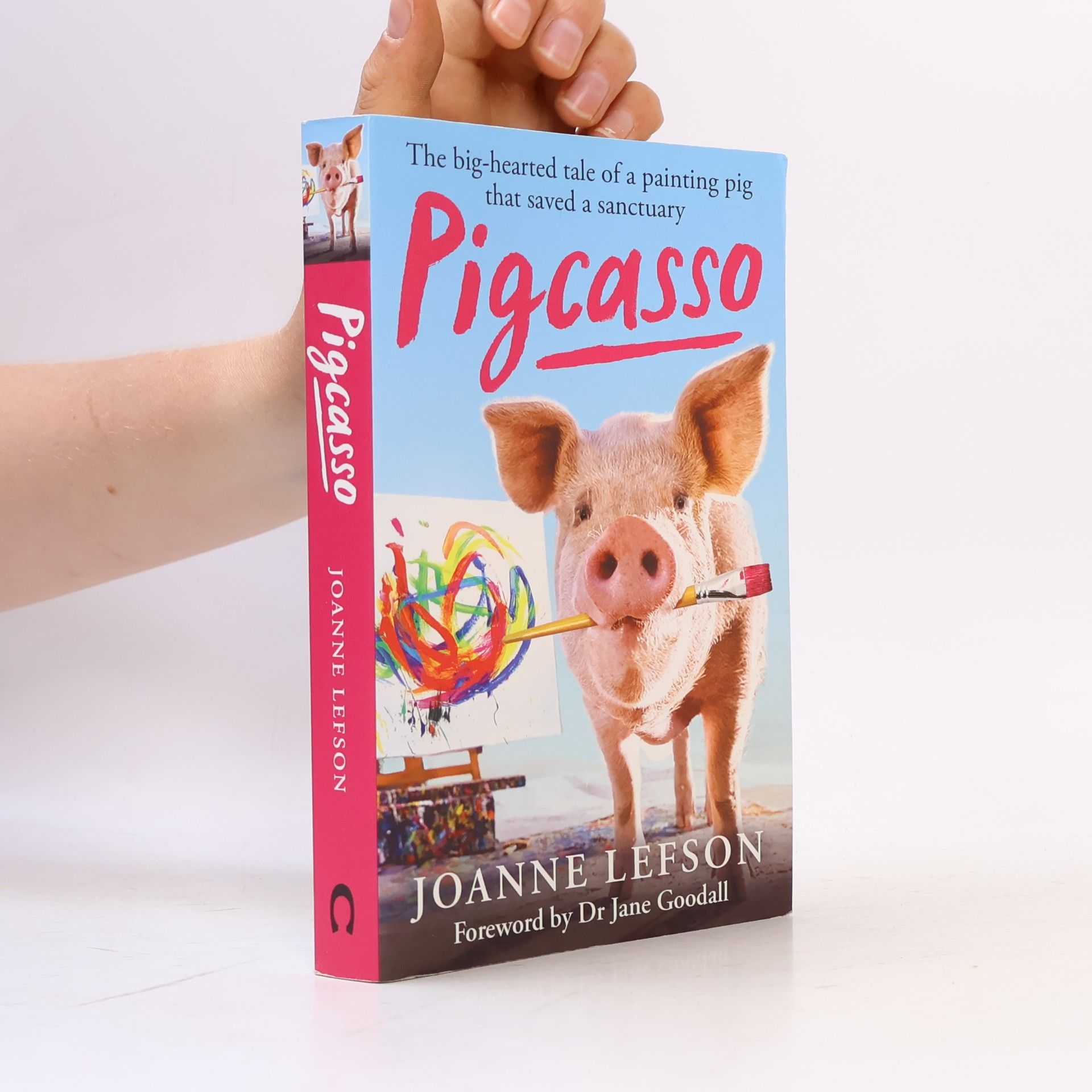 Joanne Lefson Pigcasso